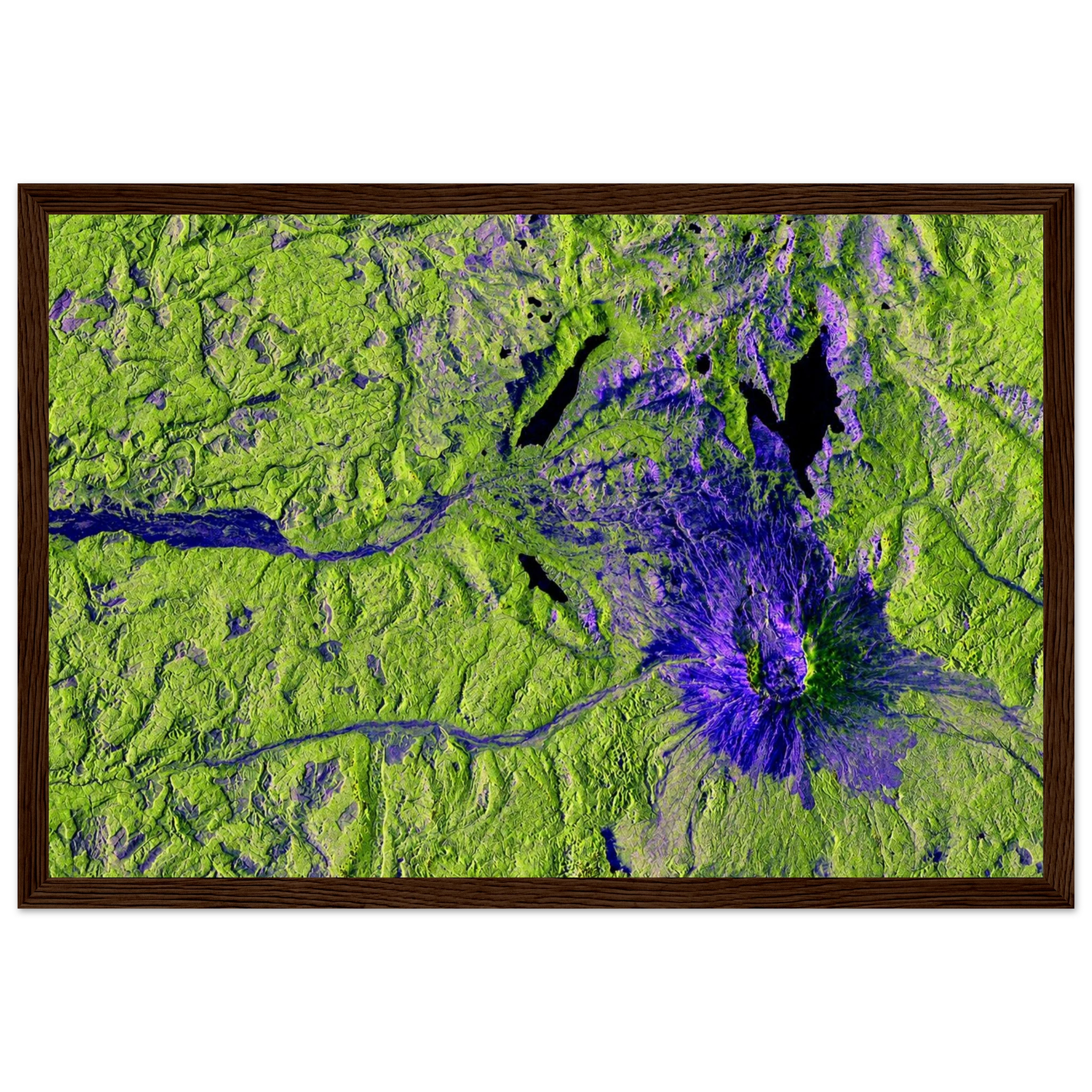 50e2c7d9-ac41-488e-8538-783b50832532