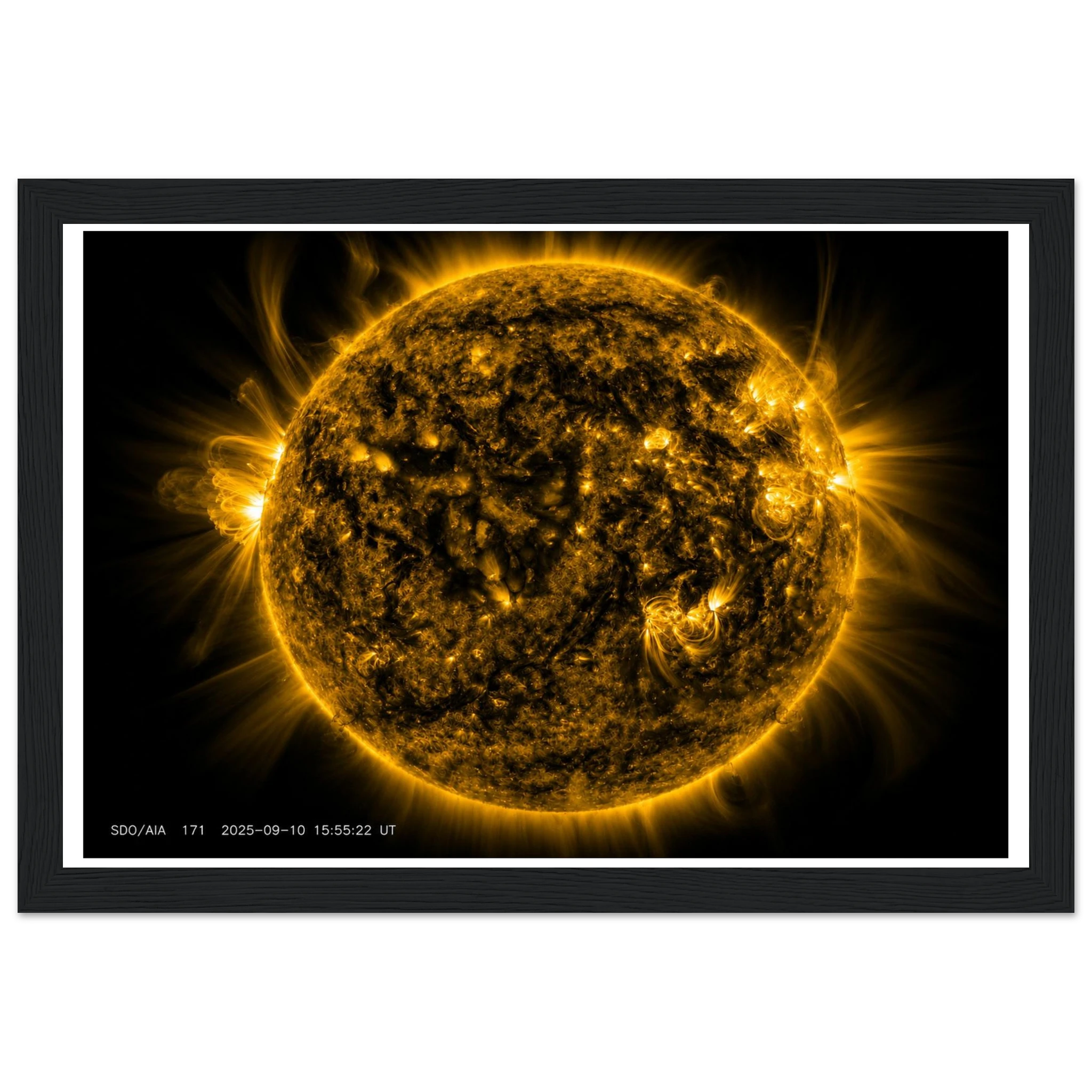513bc88f-0a20-4e40-bef3-9b21a80db700
