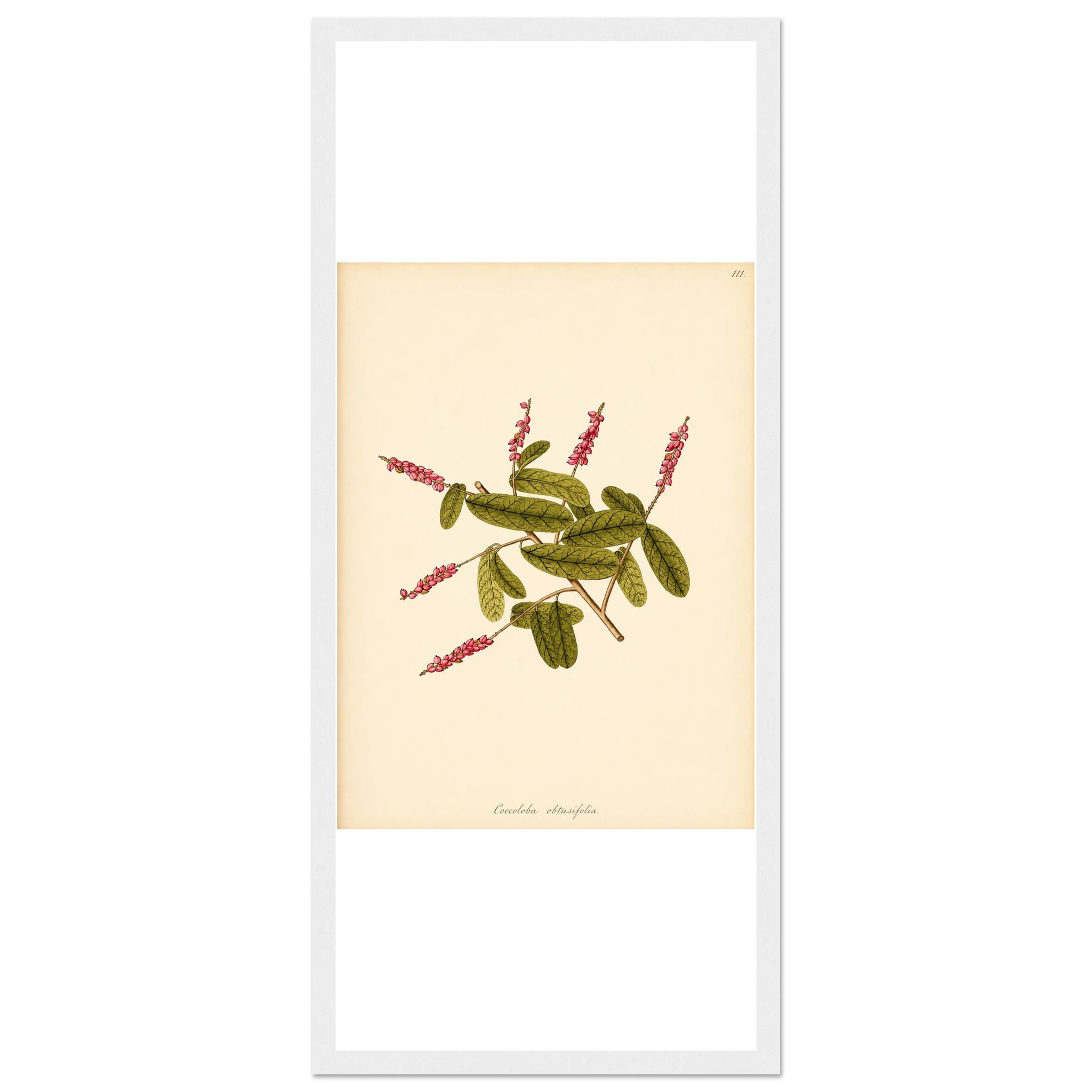 5173b0cd-bc1e-404e-8054-c523eab50878