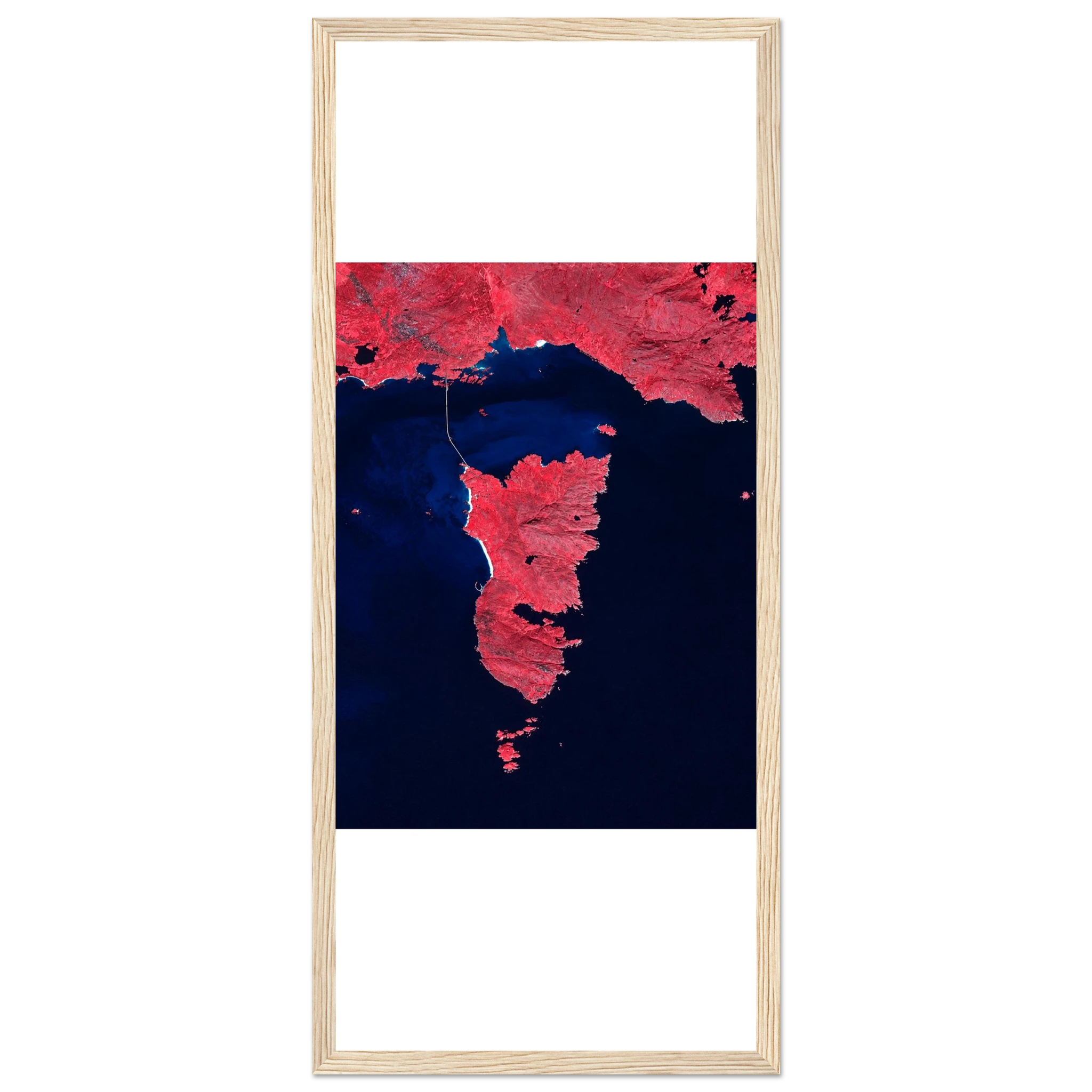 51884c5b-e4d5-44bc-aa54-a2681a651e33