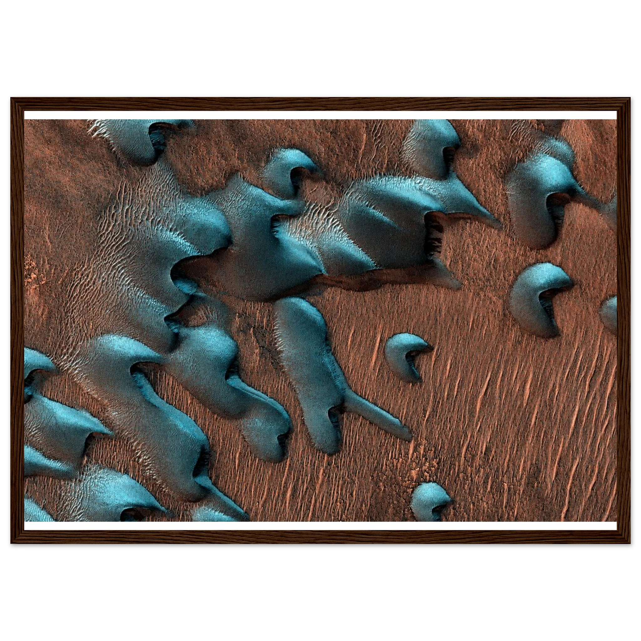 51c0ef7c-248b-4532-ab90-5597f282a8ab