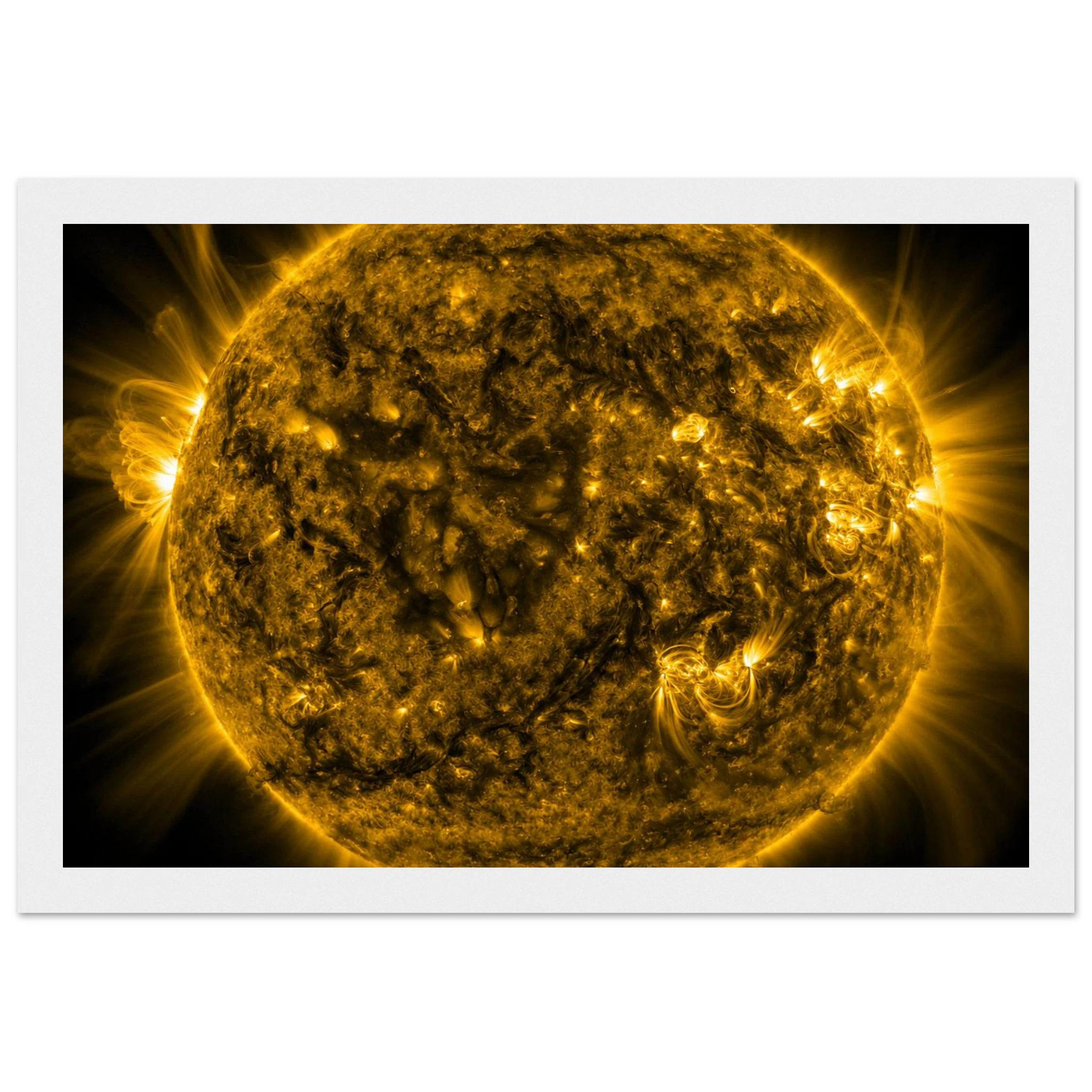 52e110f9-8a86-4c54-b380-a385f7be6f5b