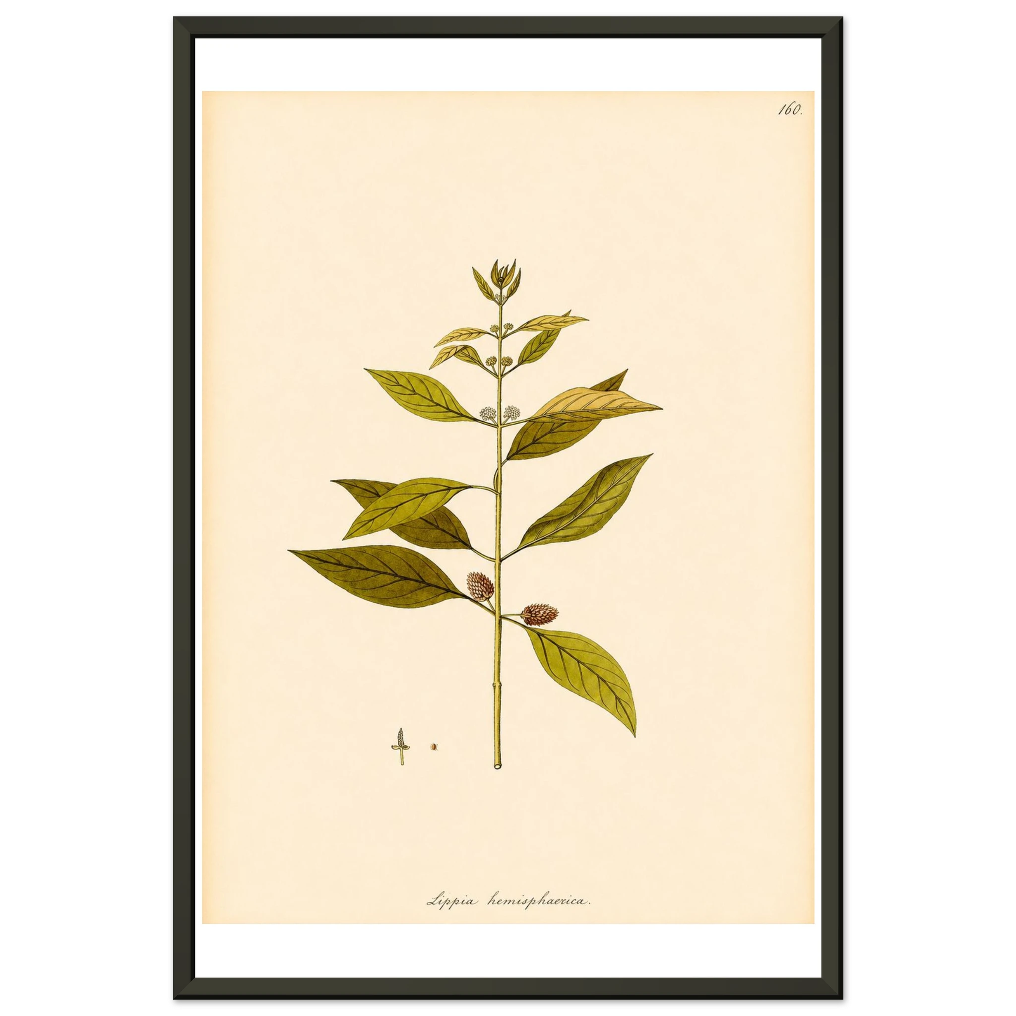 533e39e9-8d90-4453-b0a9-e77407f3bdaf