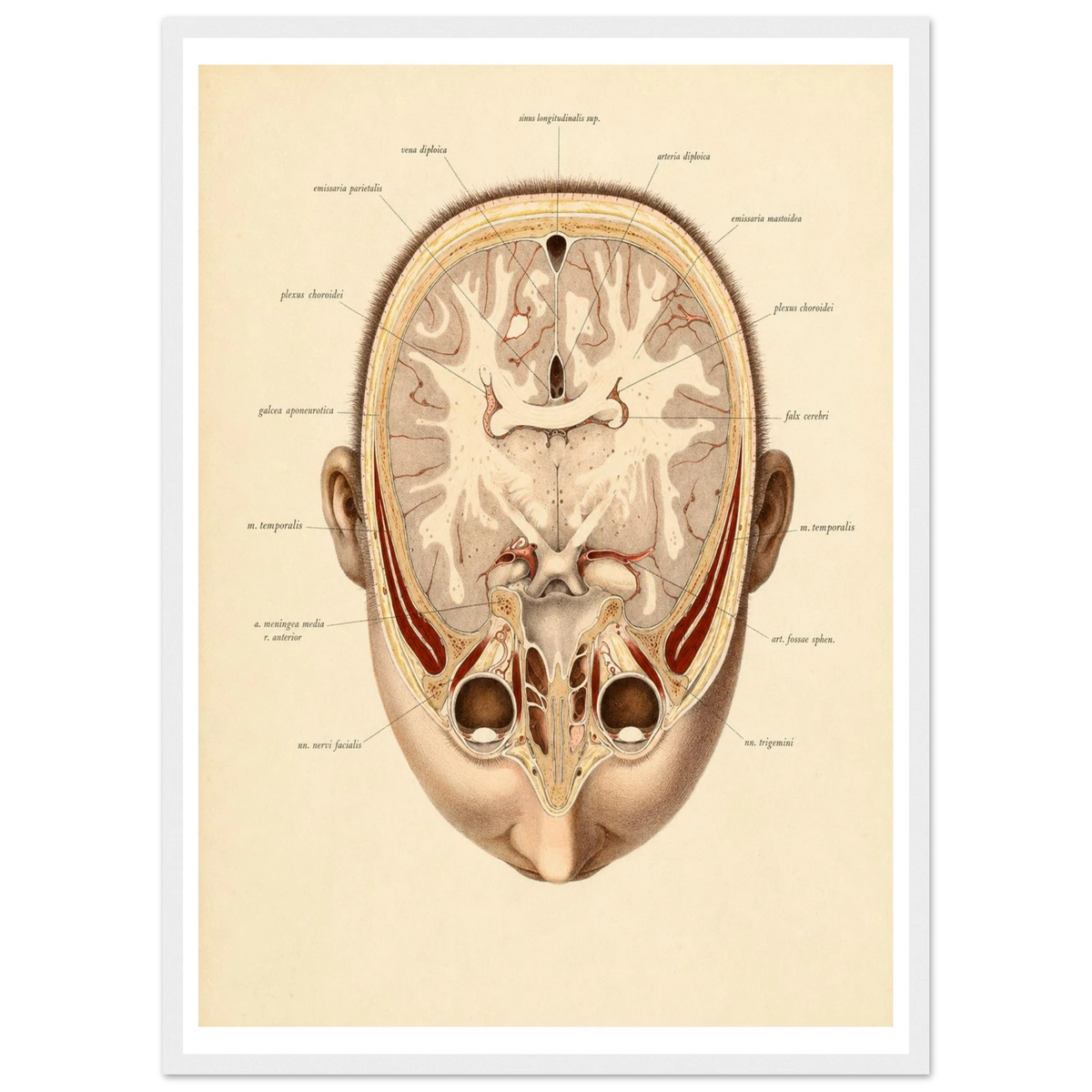 536e43ab-6dd0-4cc9-87aa-fb46d41b53cd