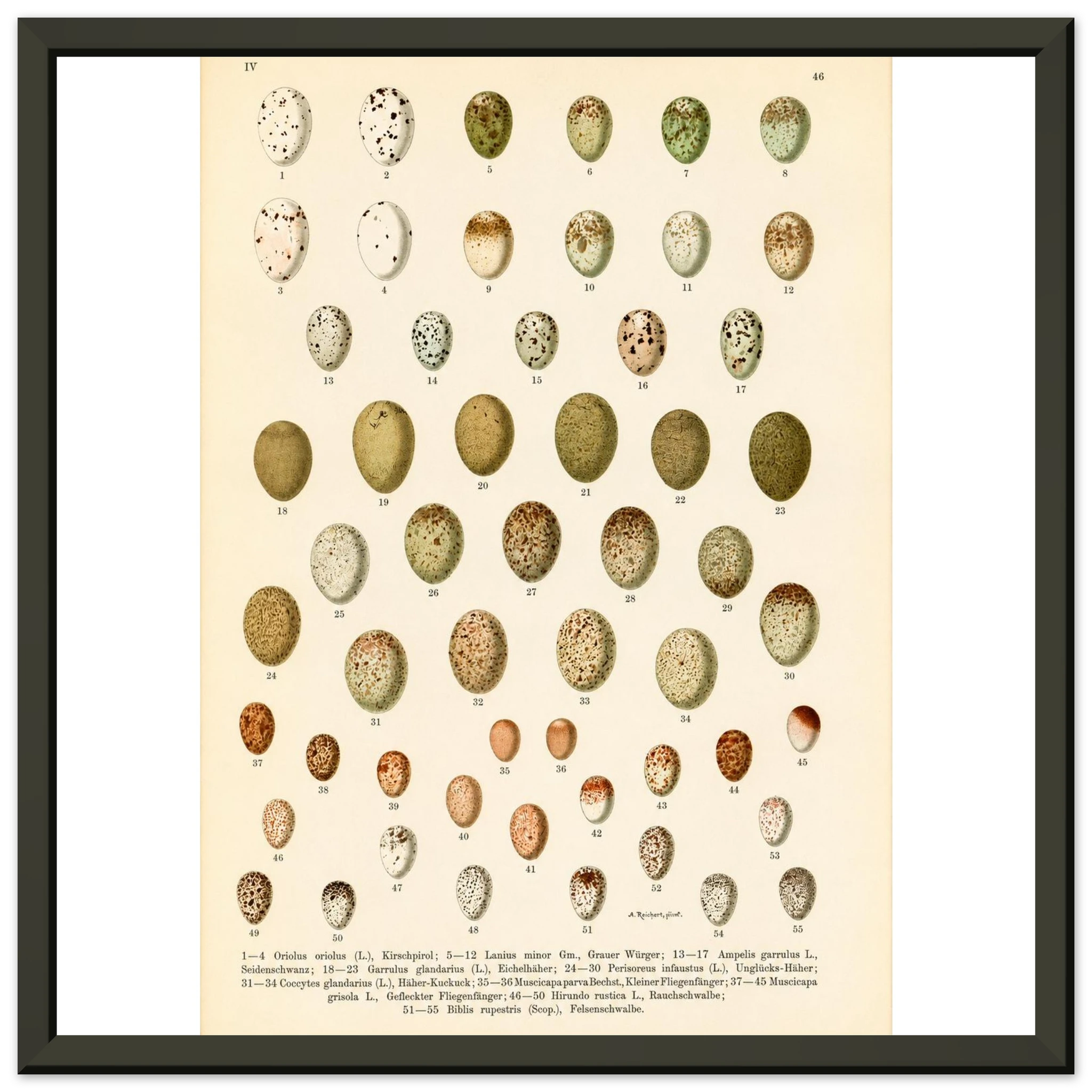 558a0a3b-baf7-452f-bce1-2741ce9c331b