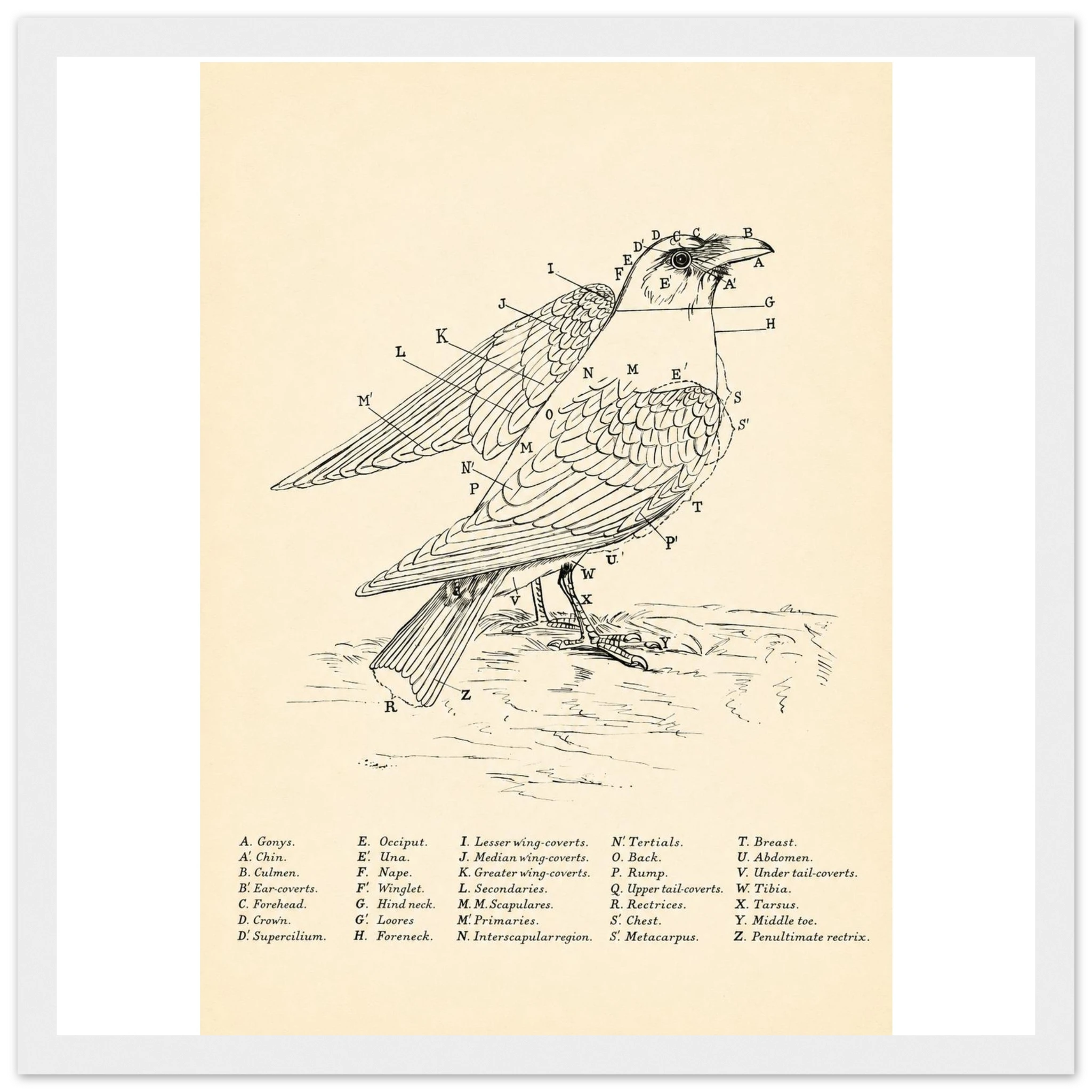 559f29c5-c791-4d95-8e48-2da99848137e