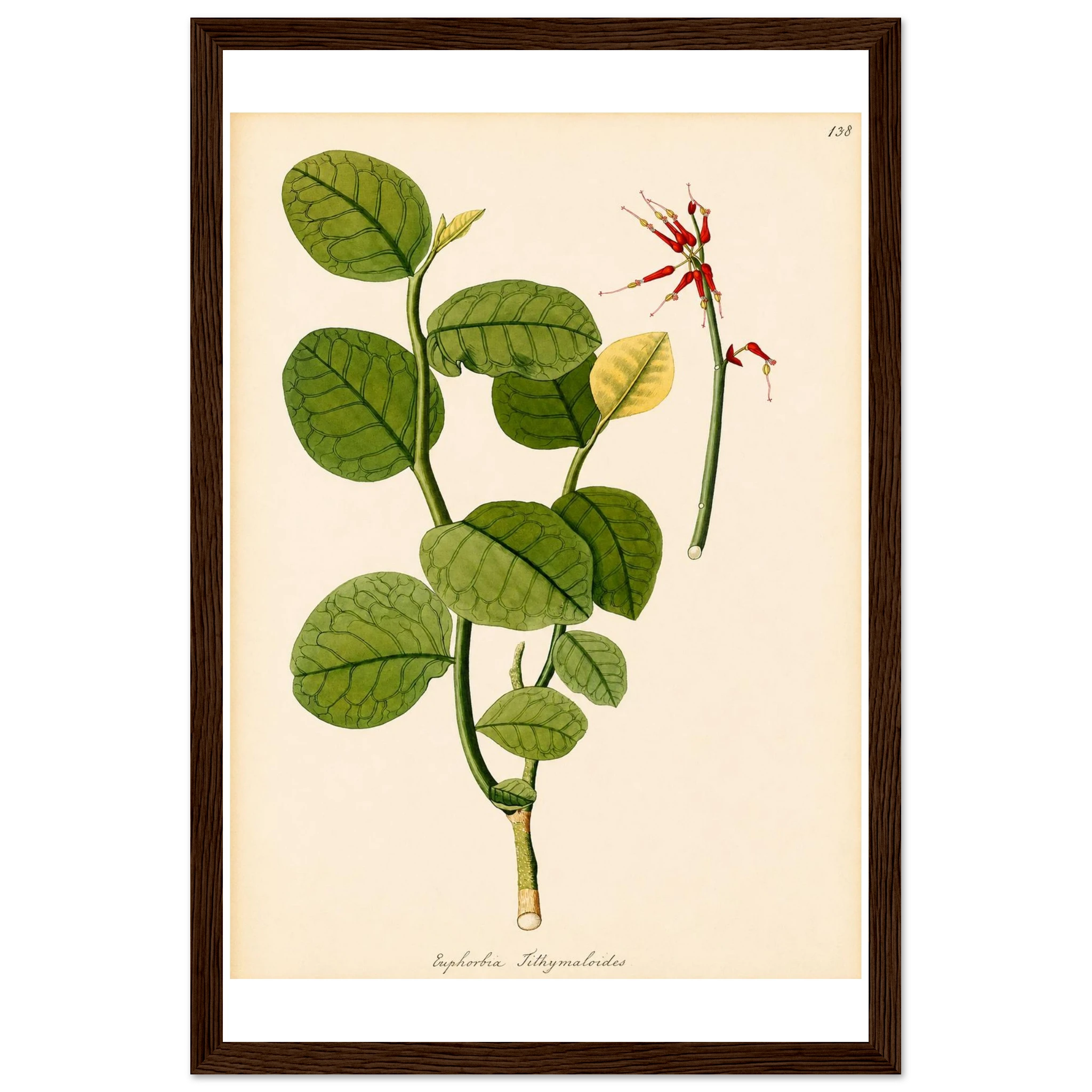 560e3772-fb4d-417f-b04d-95e1acb44d7b