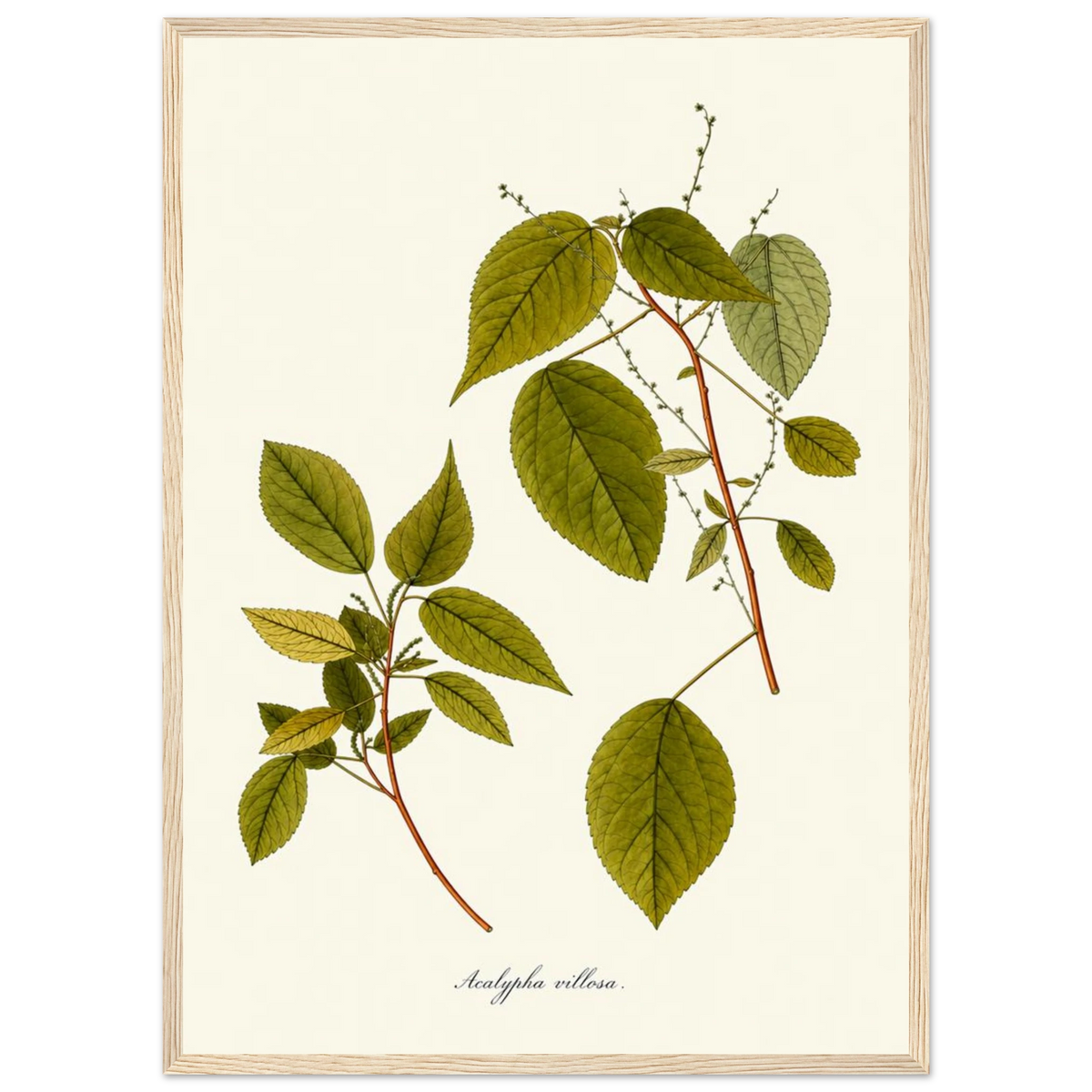 574ecae4-cd6b-4845-a11b-774ba87a82f8