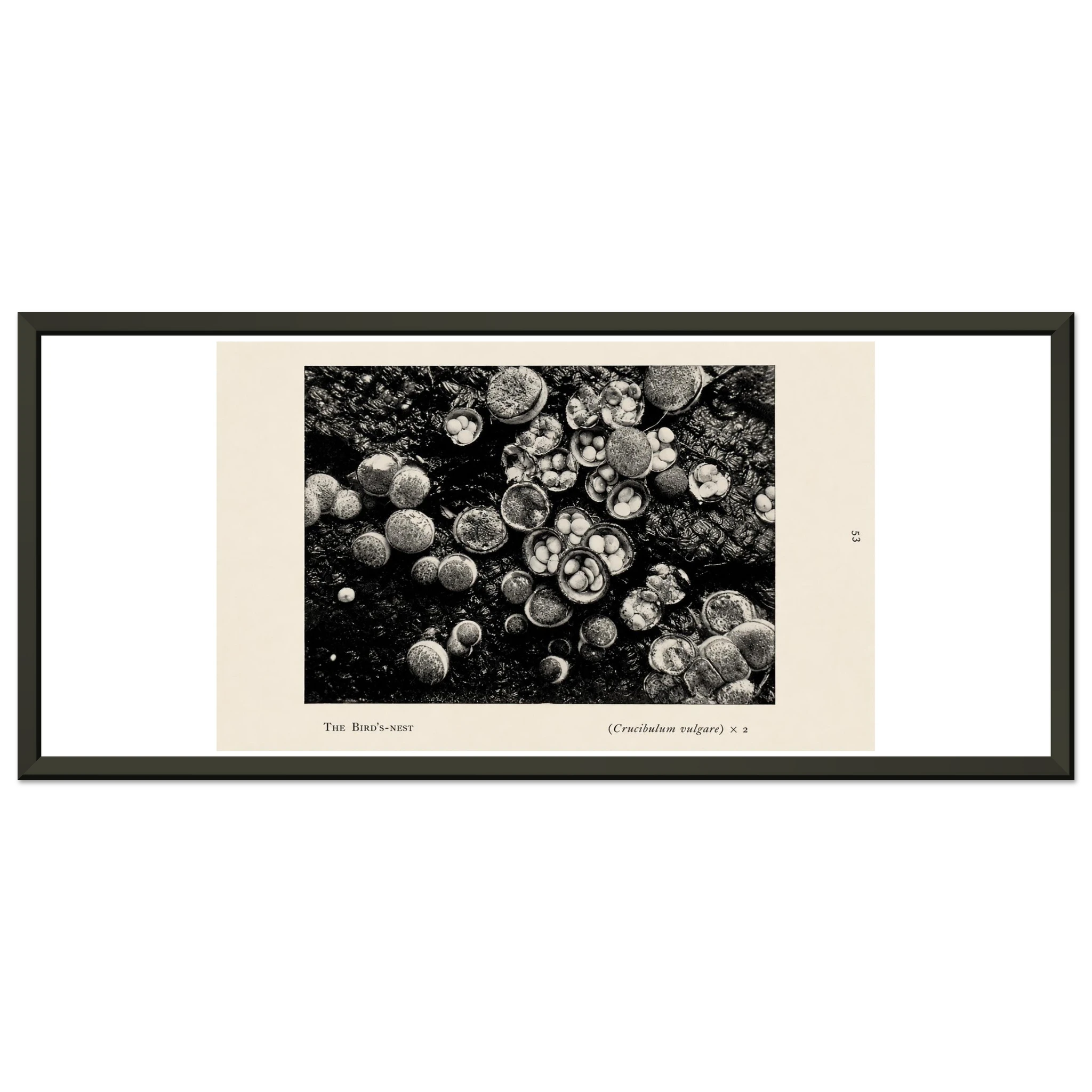 575cdd65-205f-4046-ad98-5d943465cfb3