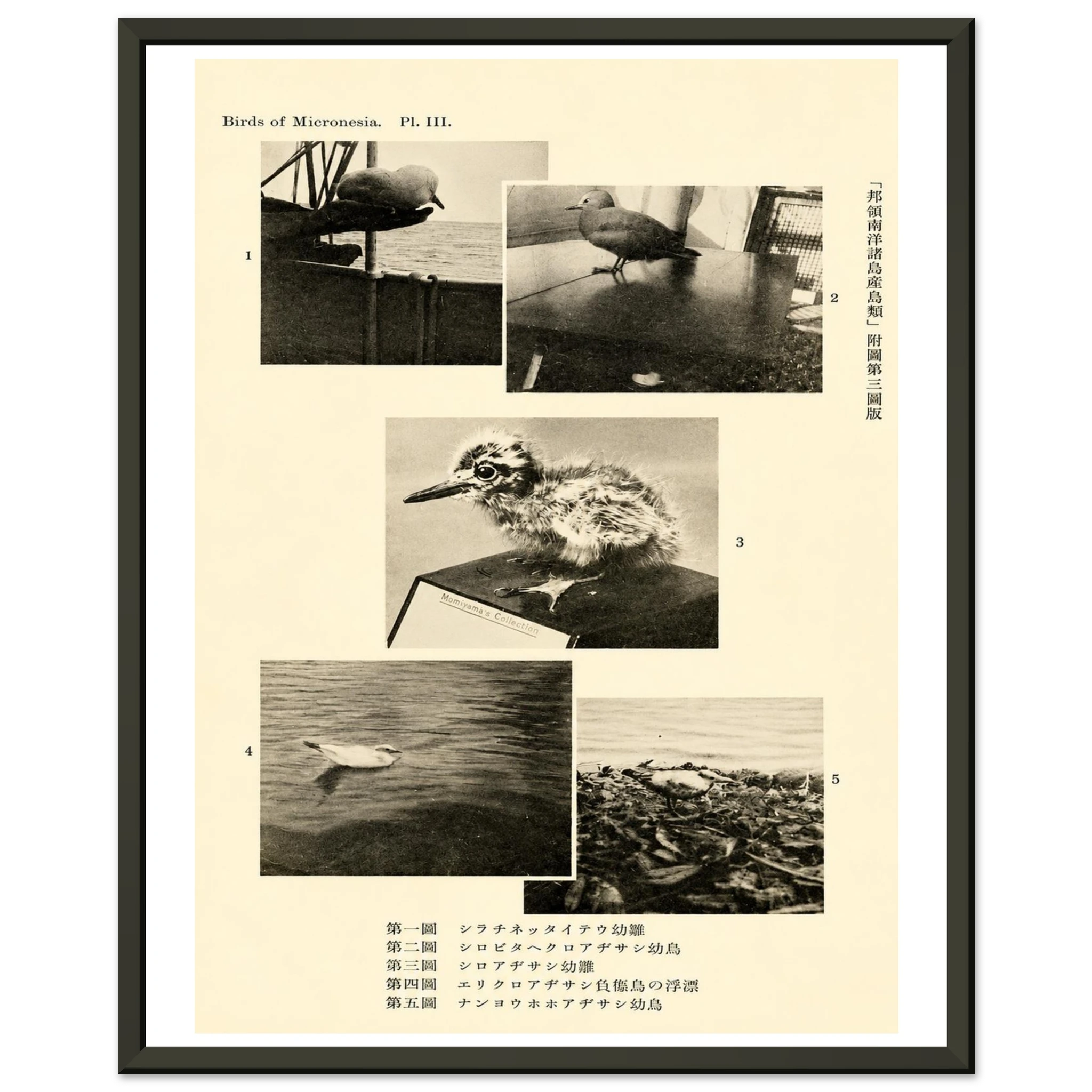 58008d90-6989-479f-a975-350c26853d72