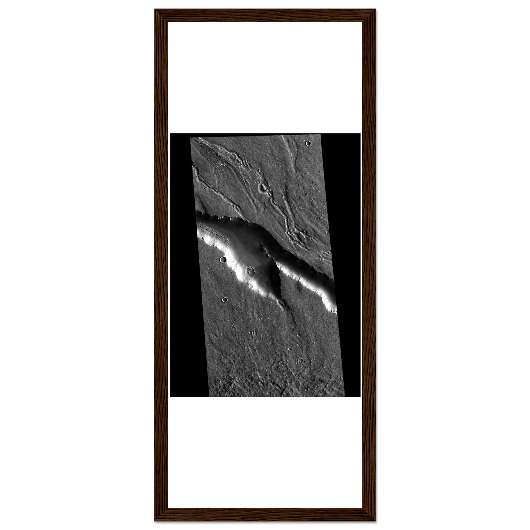 58b2ce65-4736-40bc-a83f-45d7639870f4