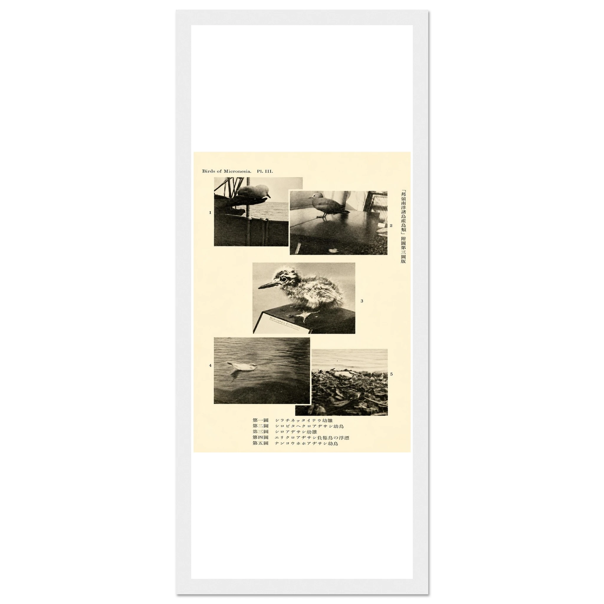 591b52b0-74f8-4071-a86f-0cc60328298d