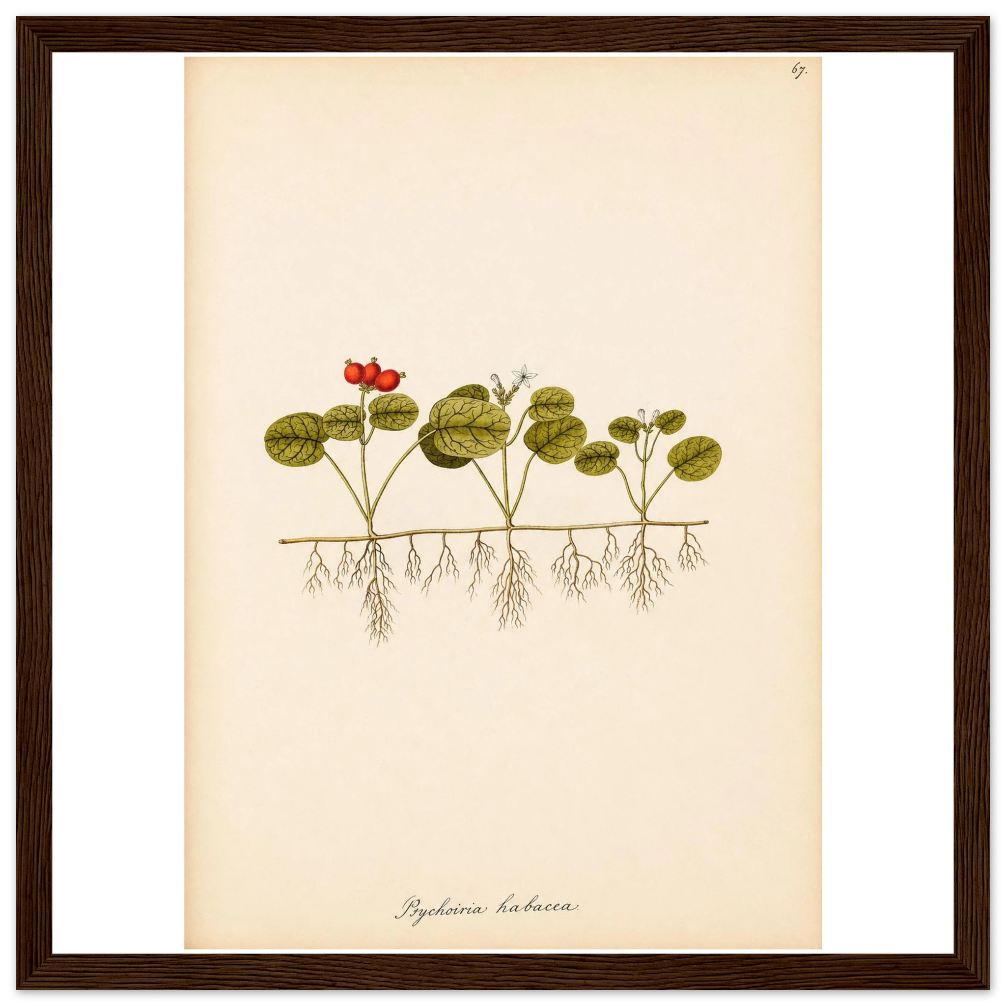 592adf01-9a5f-4fd7-809d-f8ce54fe07c8