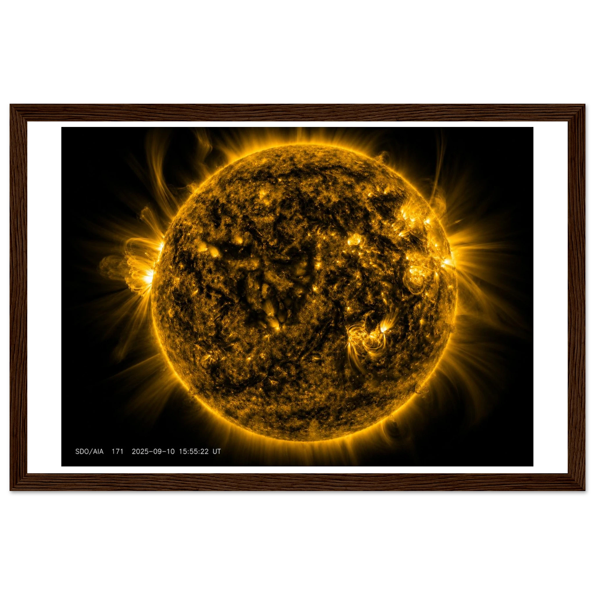 594c3ef9-ca3f-4582-8e7e-3e5a8a224739