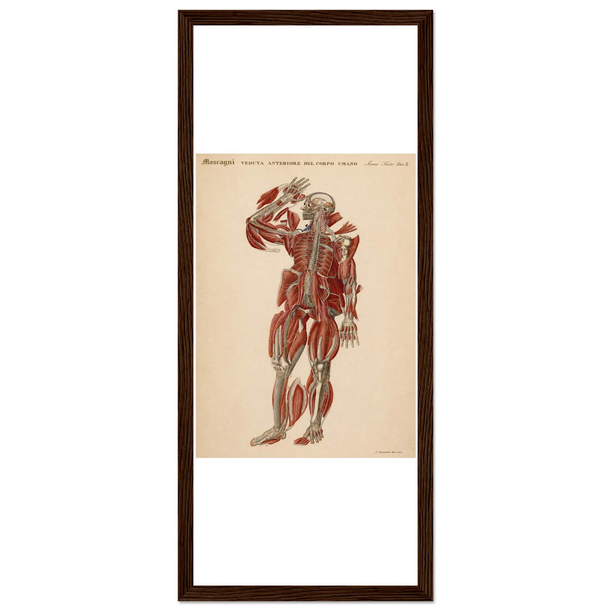 5a00c32d-1553-4da2-bc1d-b6f52ab6c3ab