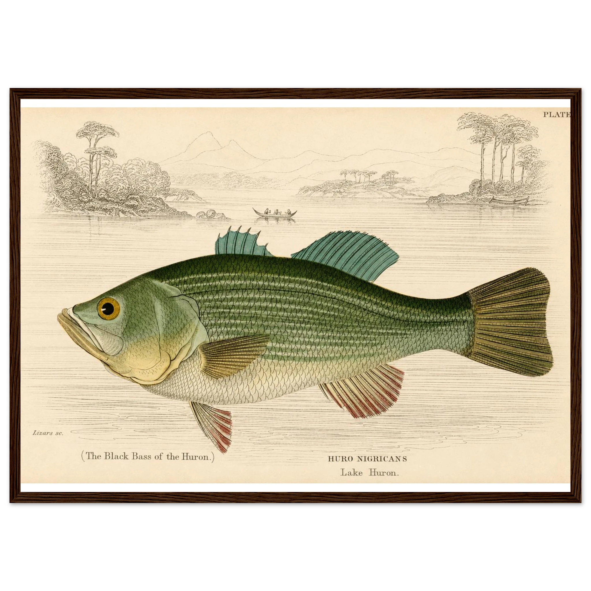 5ac0c950-5f5f-4ec0-93eb-529a38da0d63