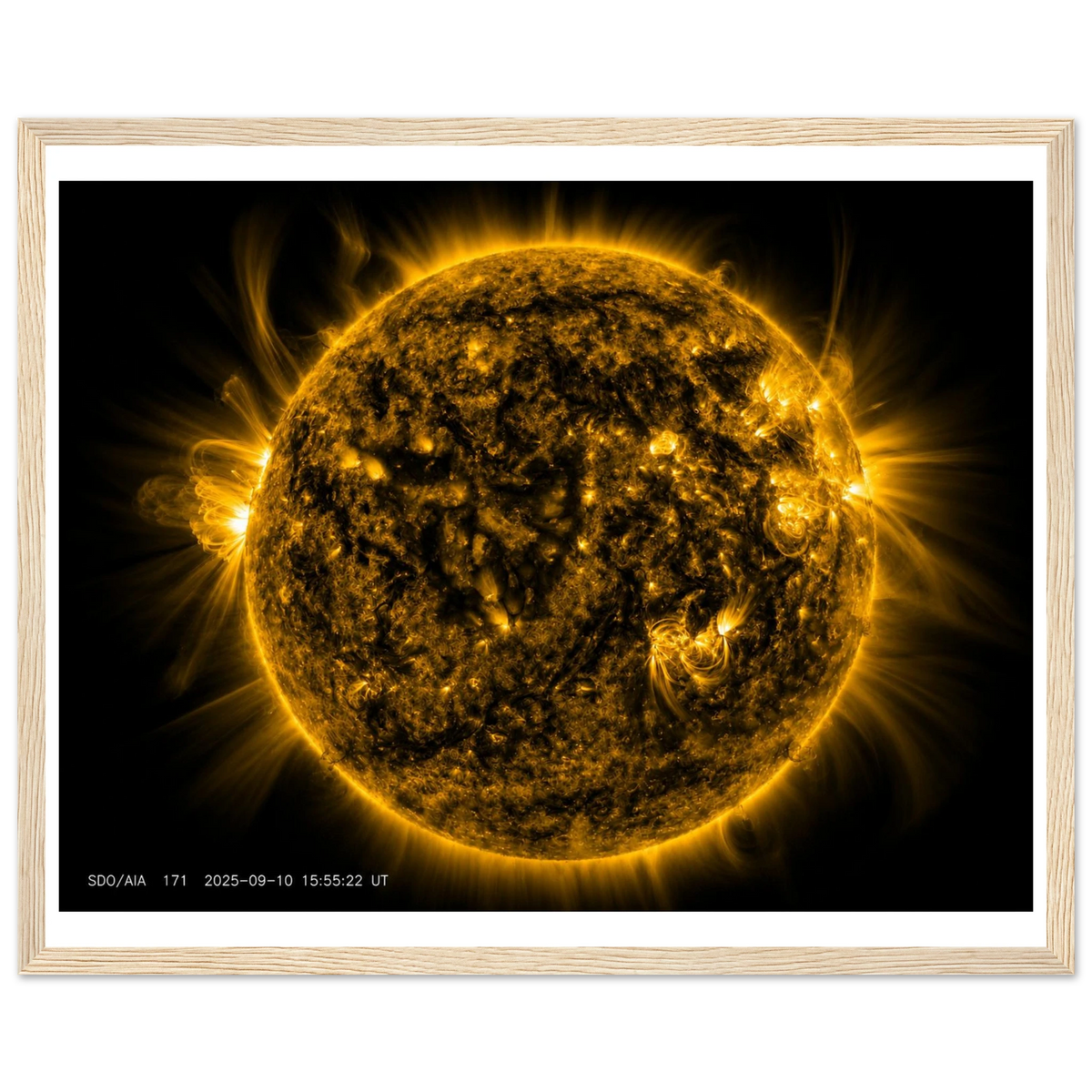 5b2f5267-2235-4c90-9937-040672dbb539