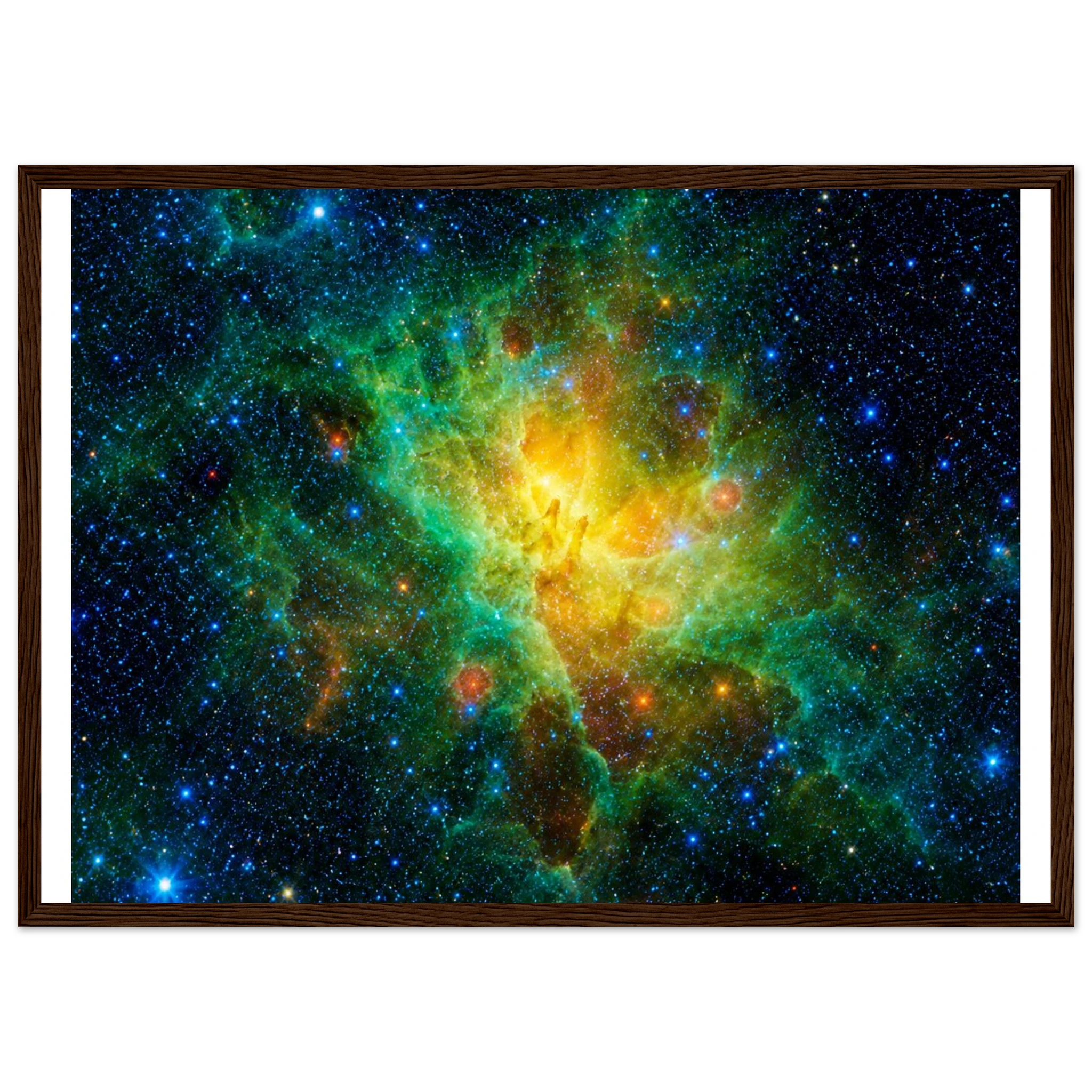 5b543c58-aa95-406e-b0e0-11613e7c8fa3