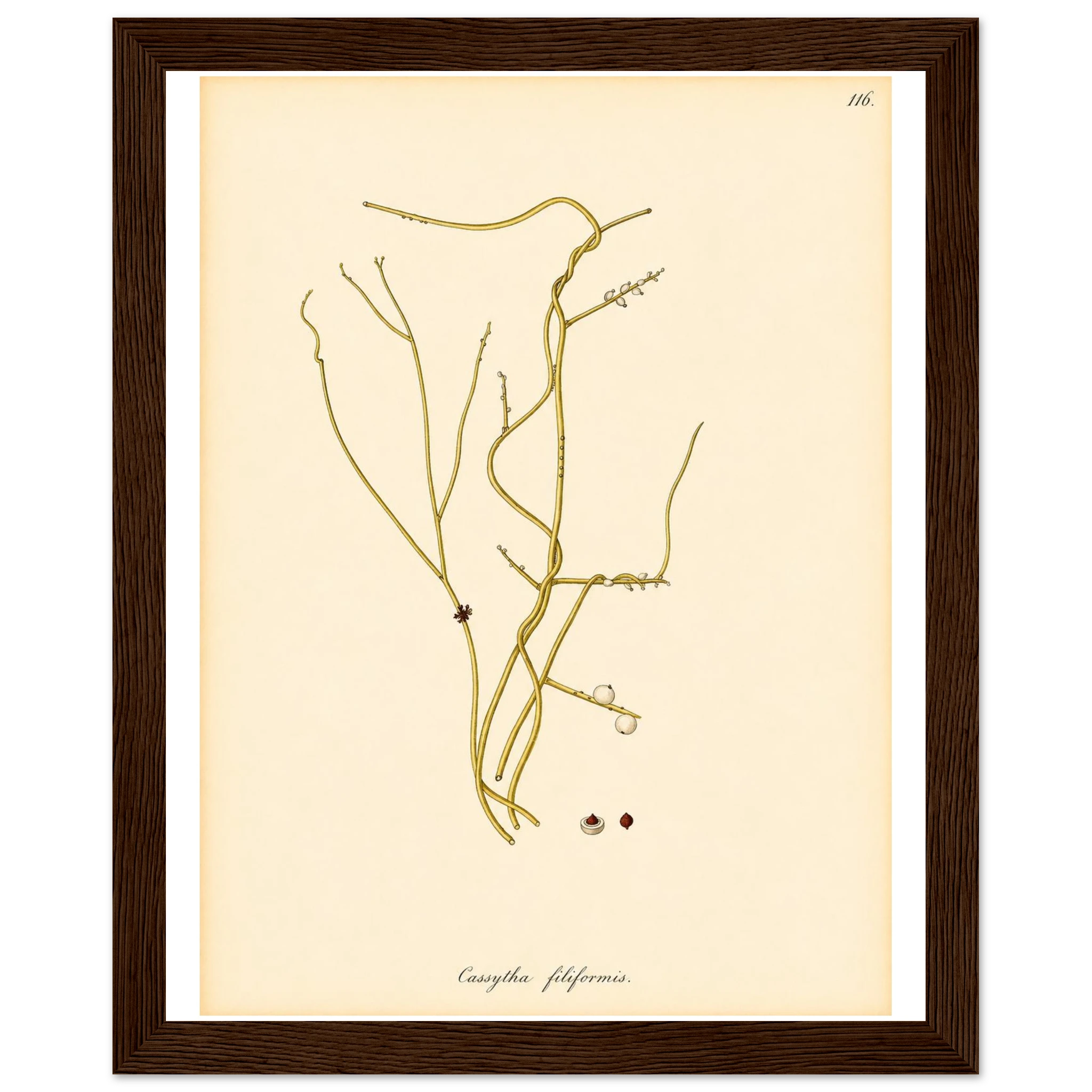 5b5af6b6-49a3-425d-8405-44bdff88aef0