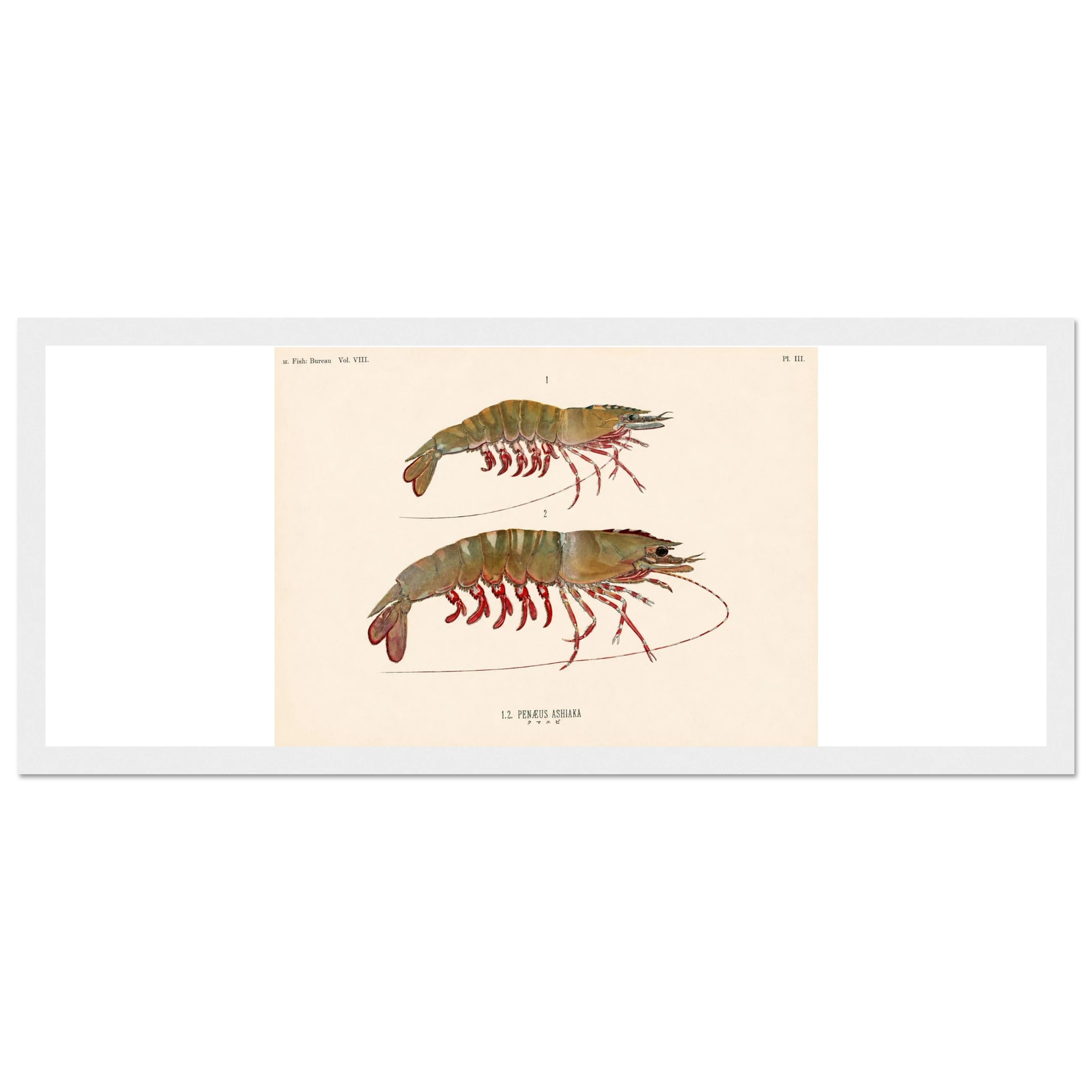 5bb1a680-22c6-40ec-a270-46e3be5647f5