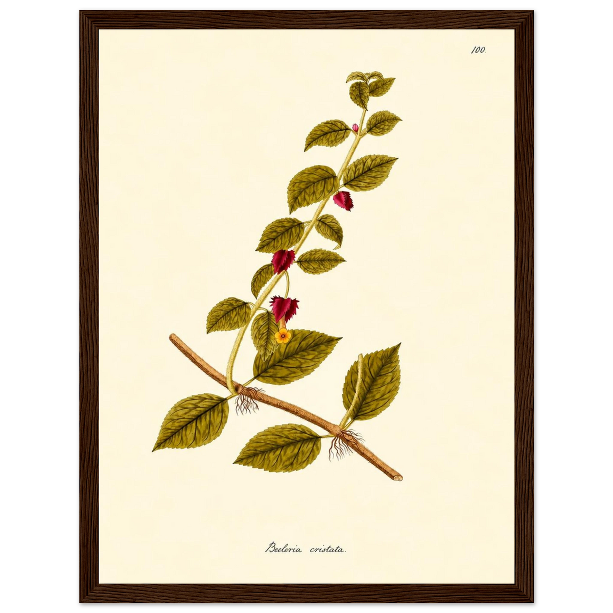 5c1d31d1-bb78-4410-ae6c-e3357131ab3a