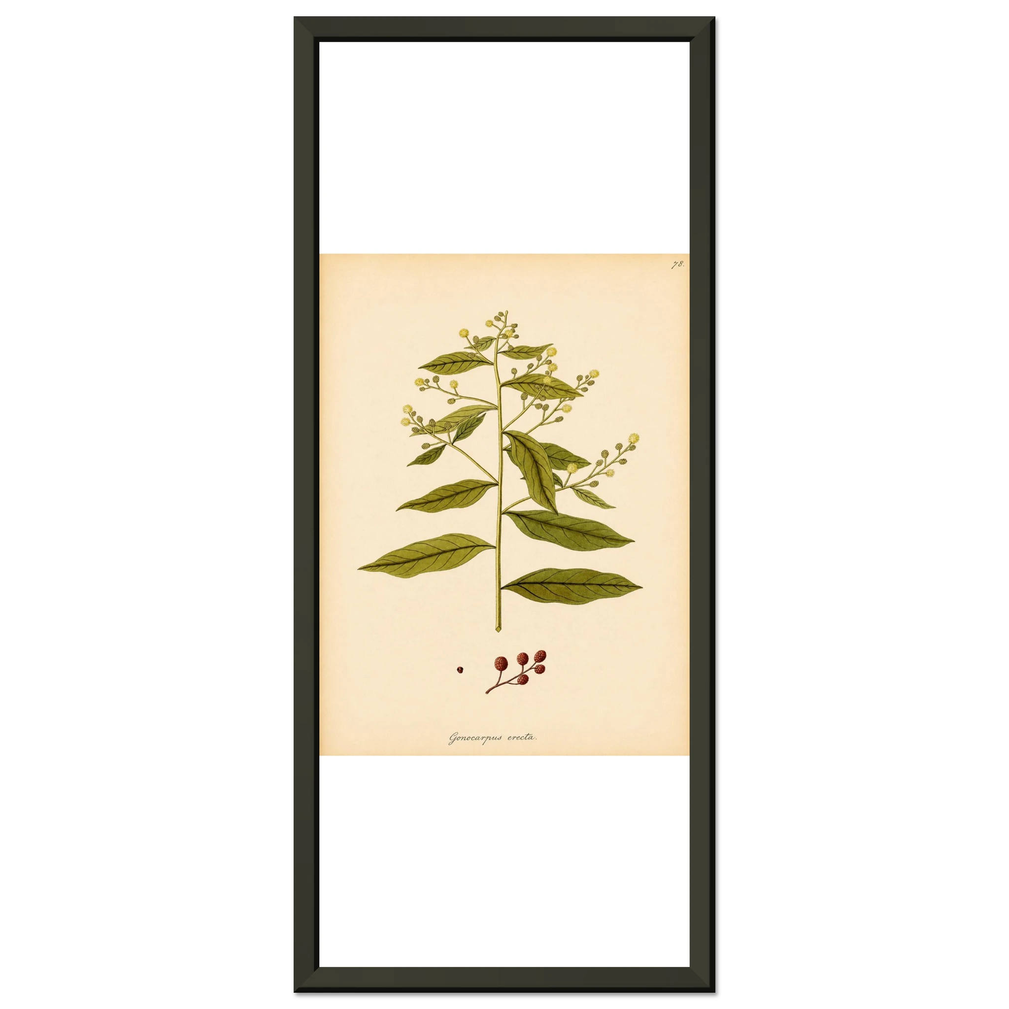 5c52727c-a8ee-45cb-b201-5fdcc16adadd