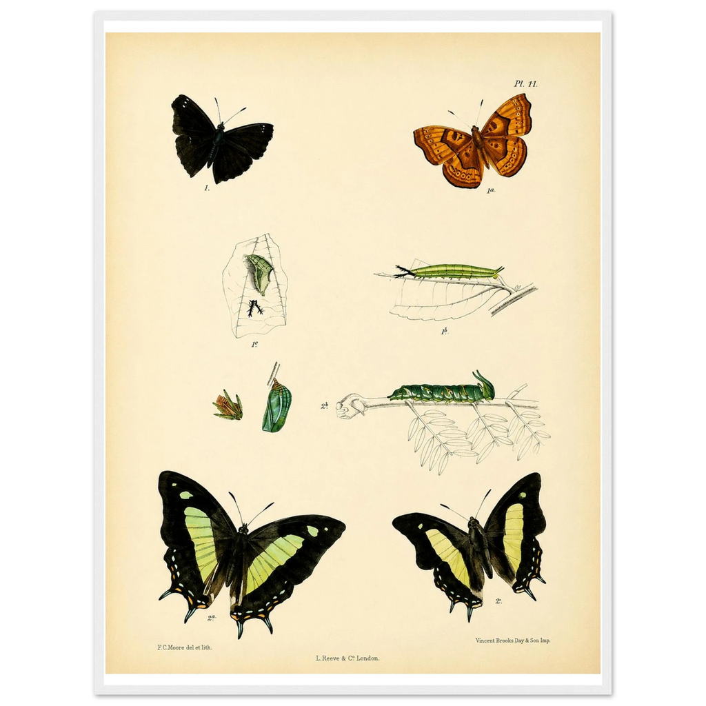 5c6944cb-44bd-4d2d-bee5-a4a11b7a78f0