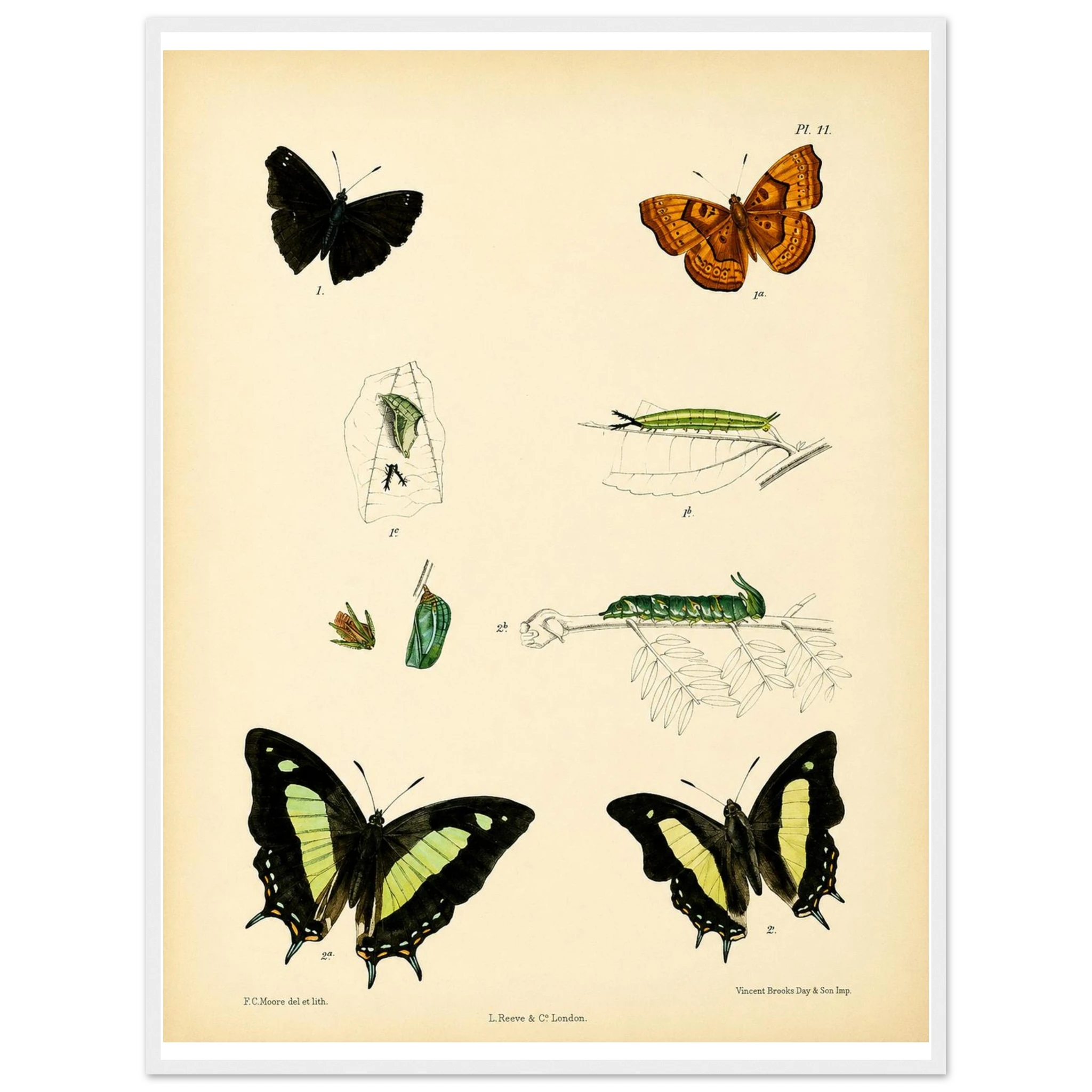 5c6944cb-44bd-4d2d-bee5-a4a11b7a78f0