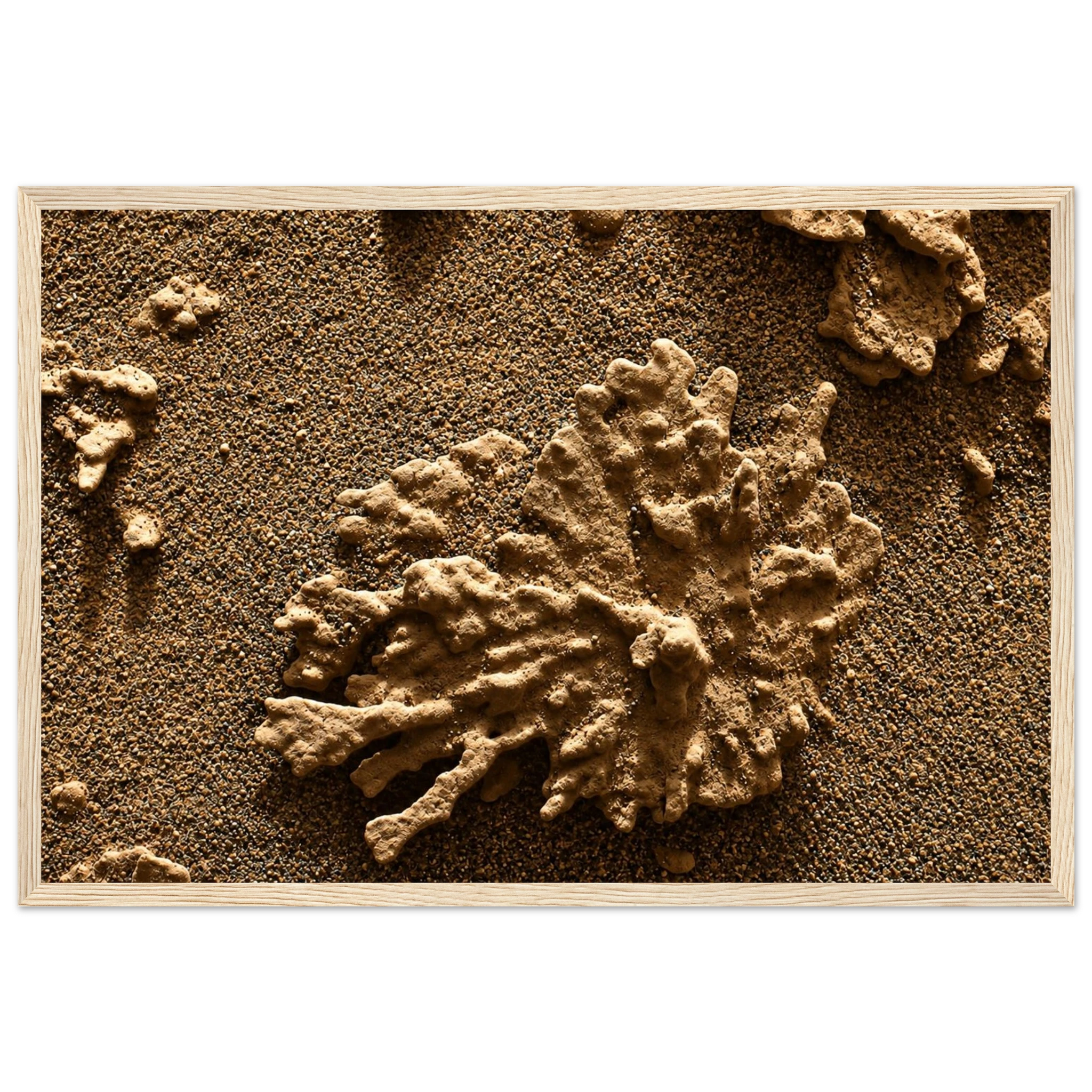 5cc8e854-49c1-4548-a4f9-851dea2c720b