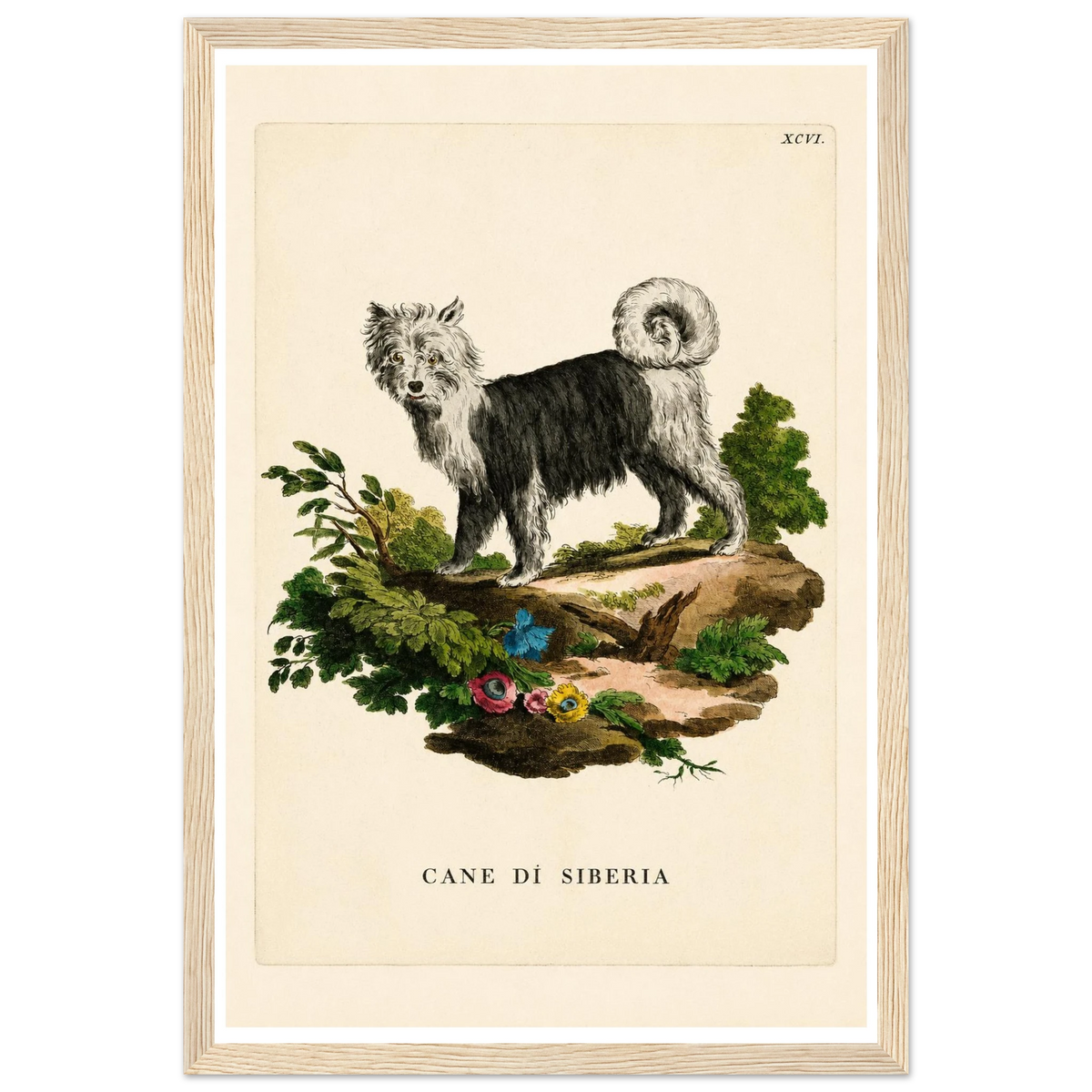 5ce08c8c-87c0-44dc-be75-e3bbe9cd5564