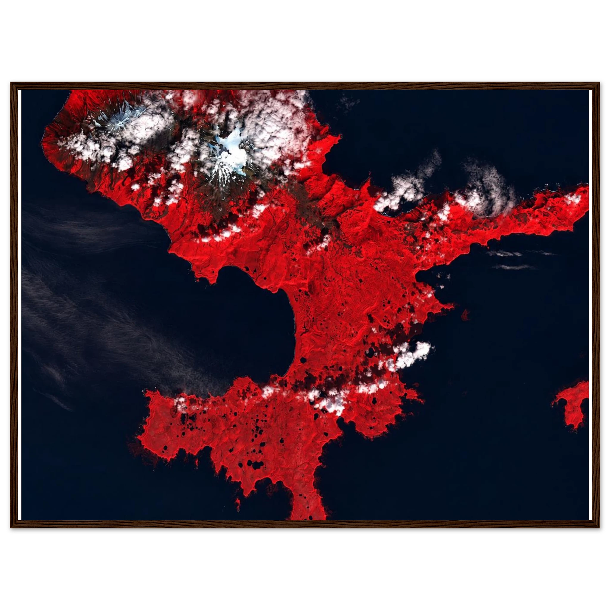 5d0e63c1-d14d-47bf-907f-cea9fe2afa02