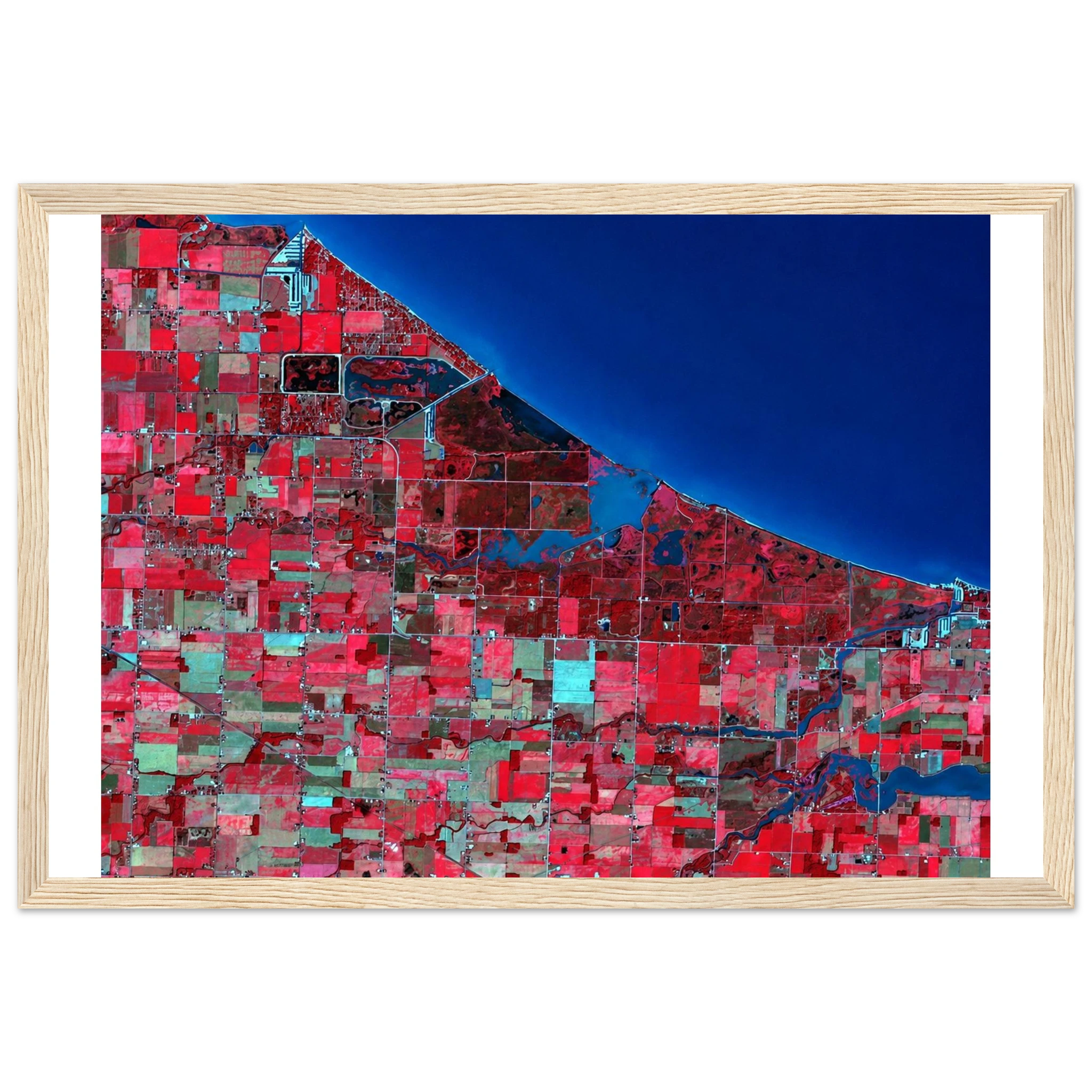 5d21f5c3-9449-4fd5-bcfd-c93c950861ae