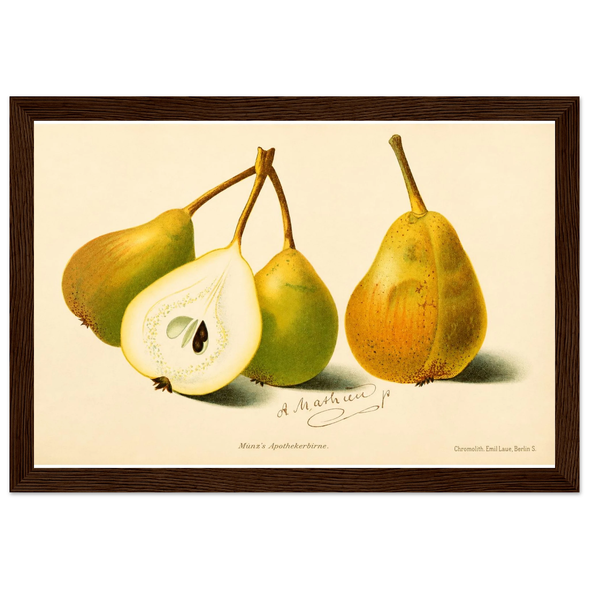5d9eaf0d-493b-4910-a571-9836fc051d65