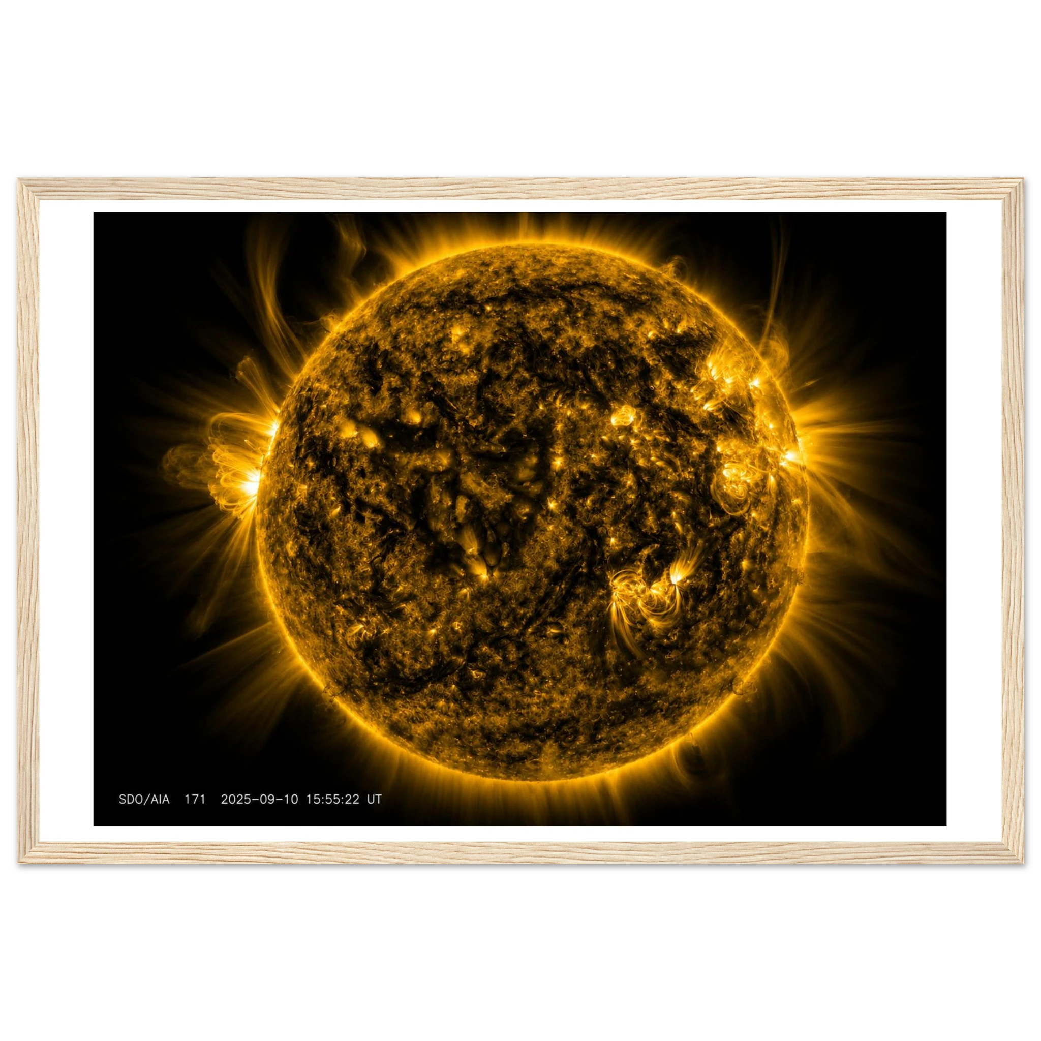 5dacc78d-4366-468f-b454-7e75598489bb