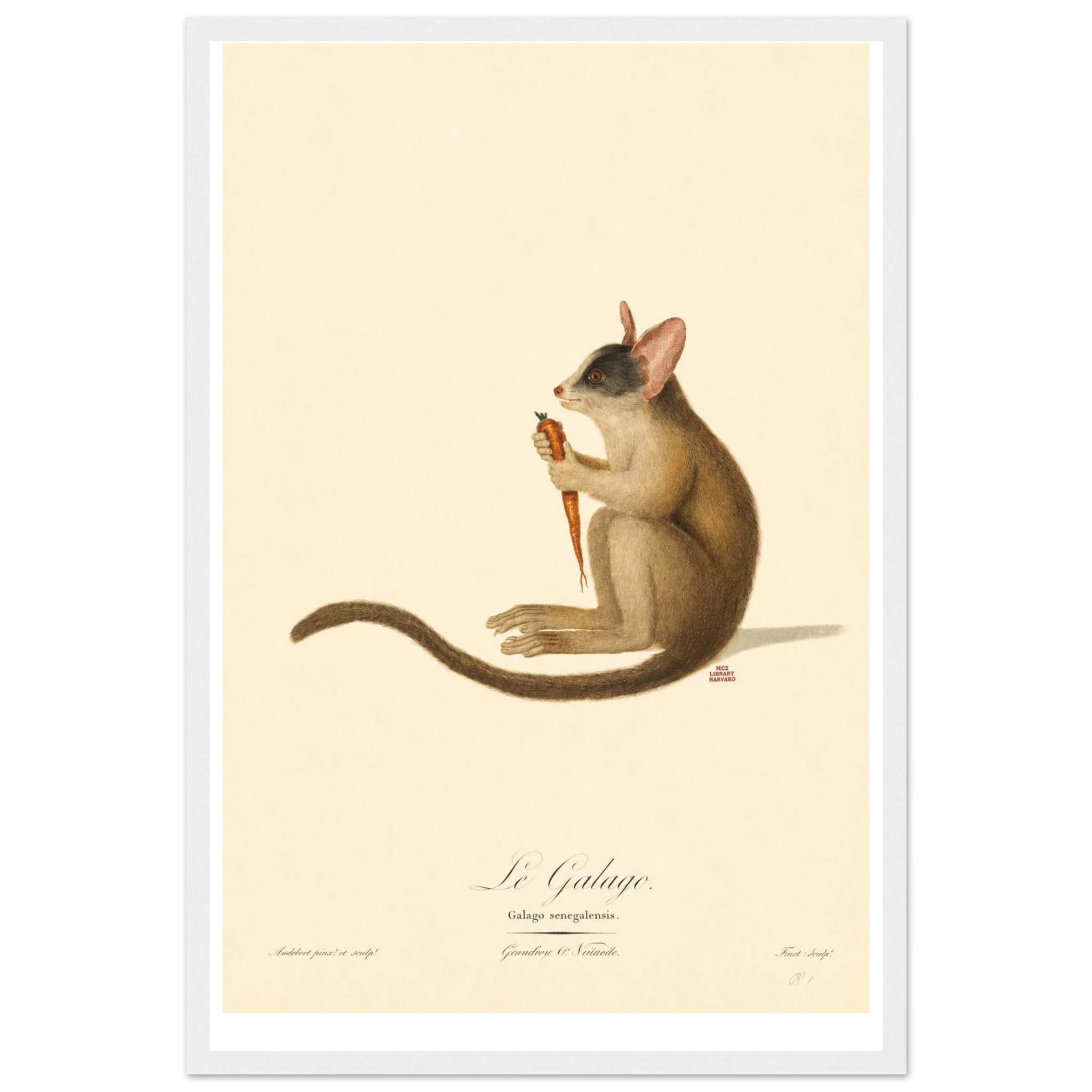 5e223abc-1bbf-4e3a-90b2-330d499eb91f