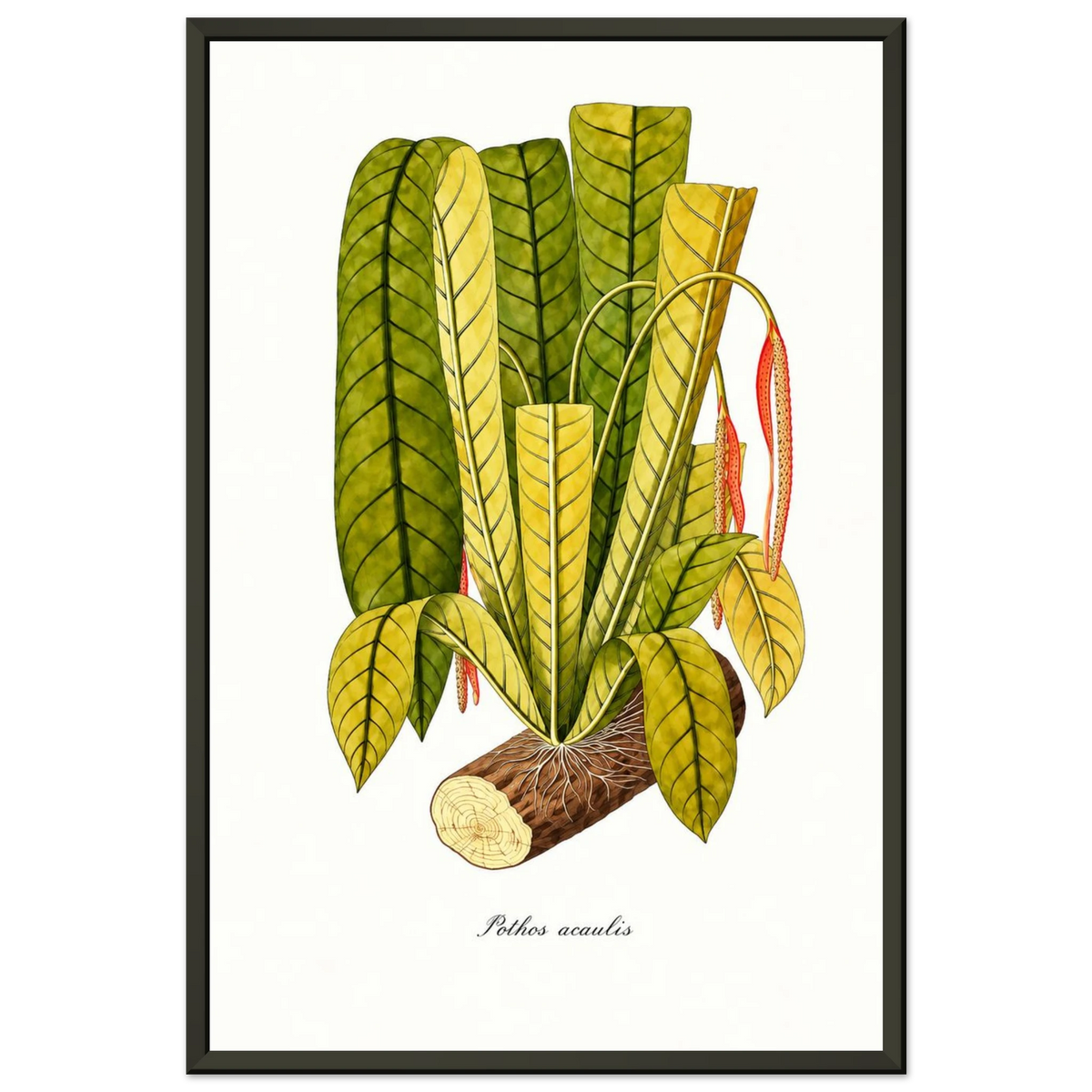 5f496413-341e-4c15-9db4-f83ee8a4947b