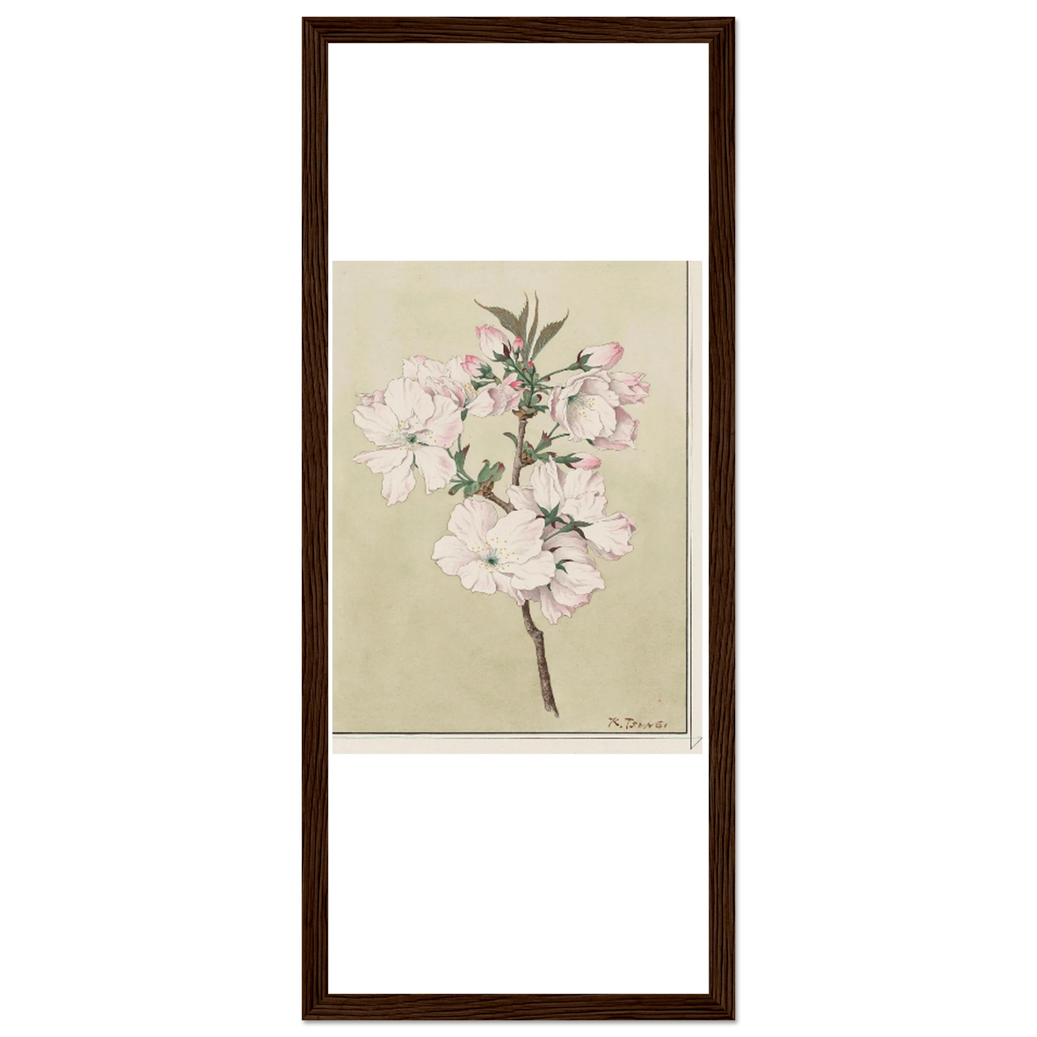 5f85ec76-7265-41a4-9762-d517ba7ffcbe