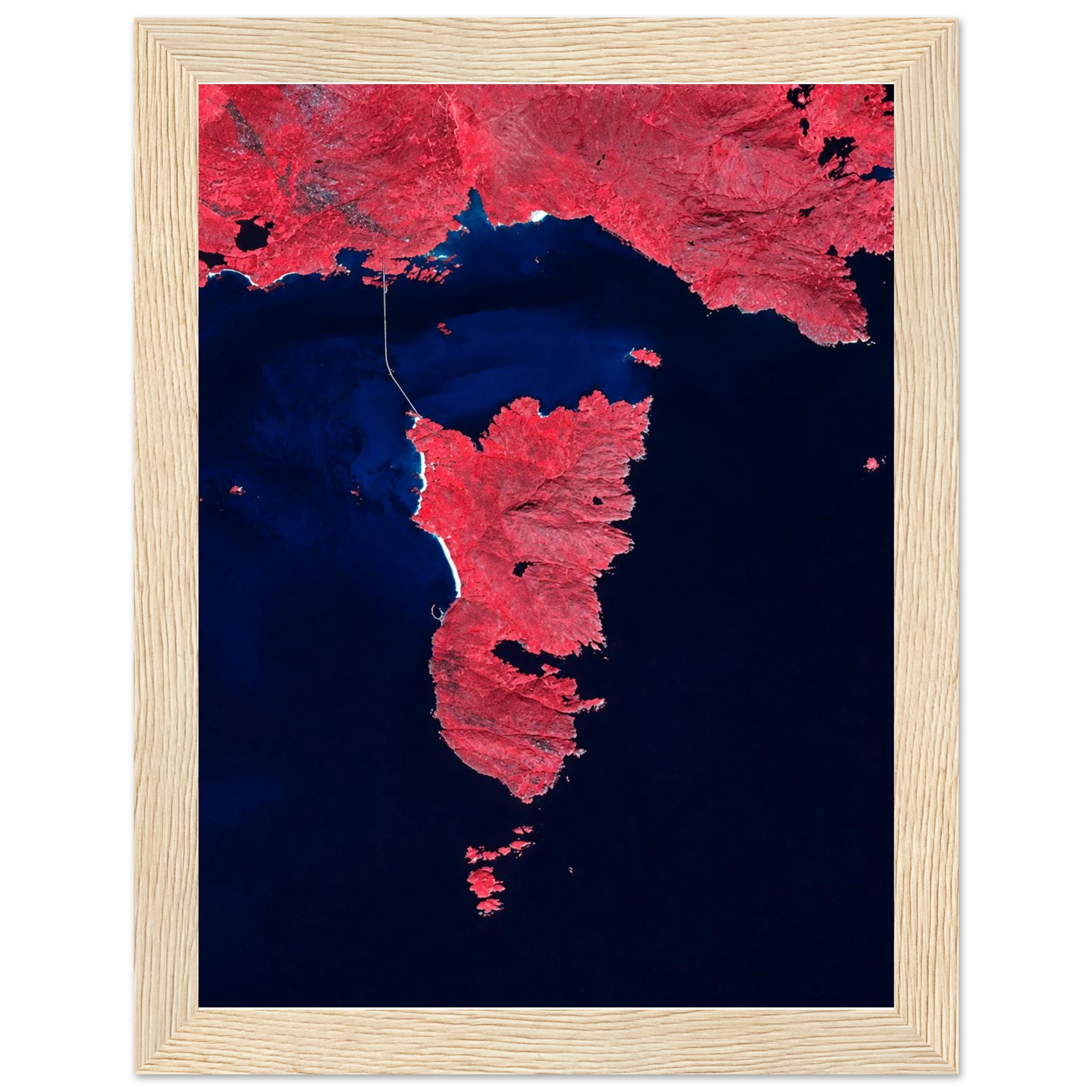 5fa19465-da58-4167-bb52-5fb61ee49fbc