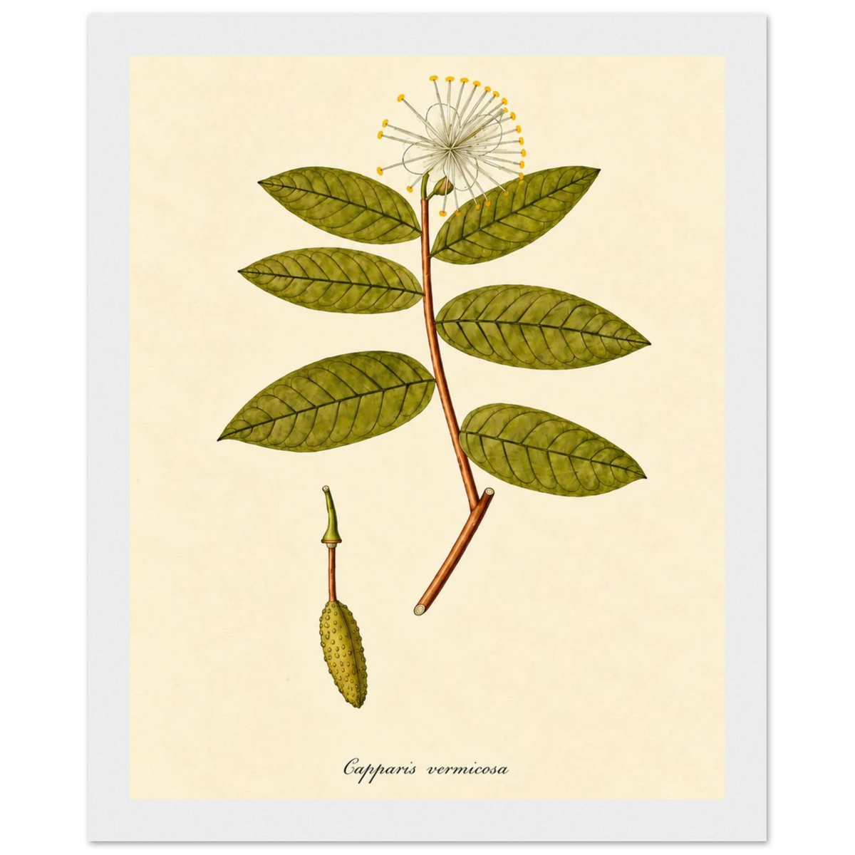 603db4b9-1805-4120-9b09-3c3d570df69b
