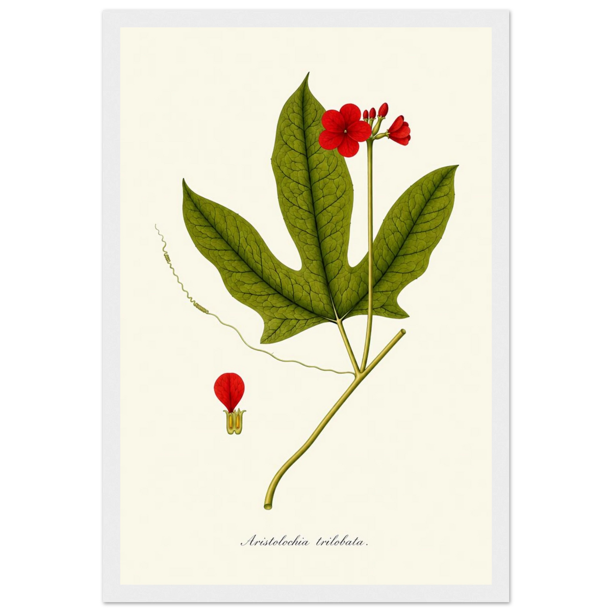 603df10b-76d4-4ea4-b712-93e2ea111ef6