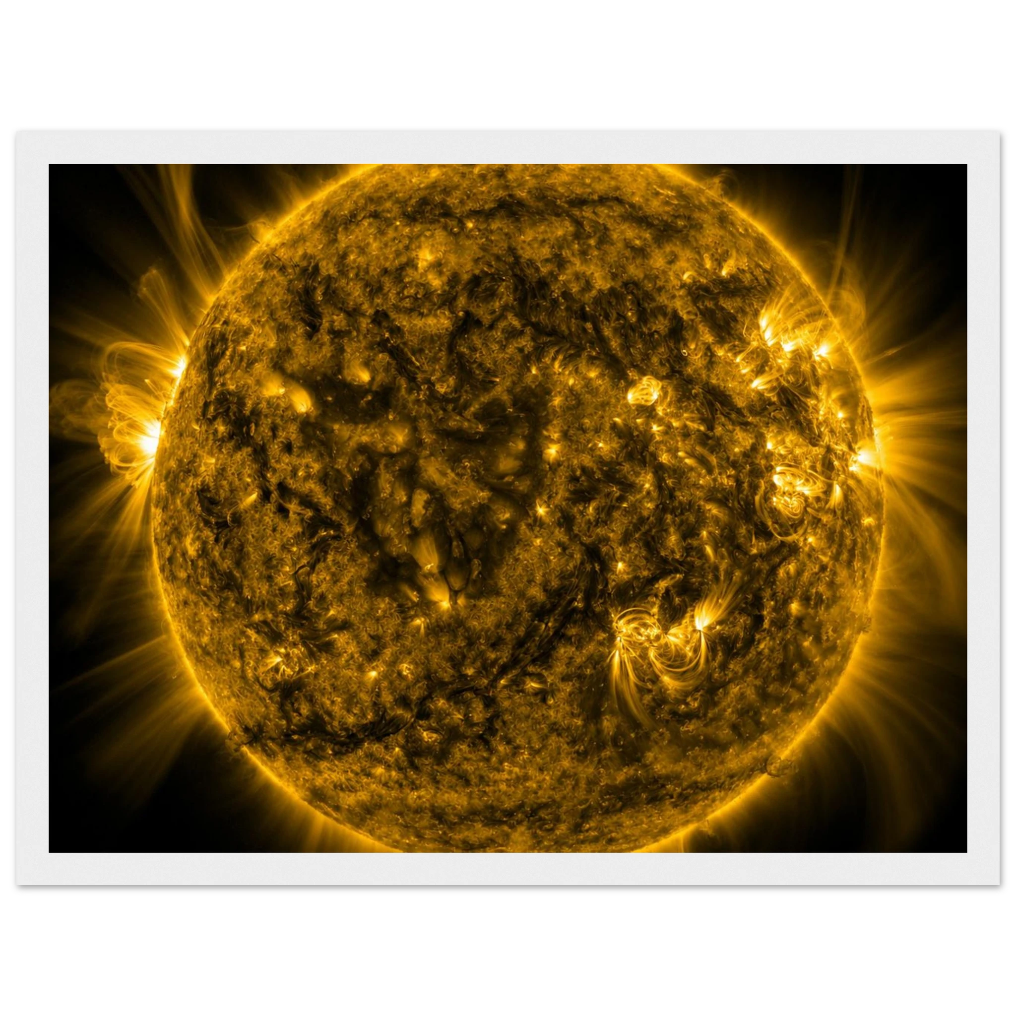 607c52c7-d557-497b-a57d-10be2653a277