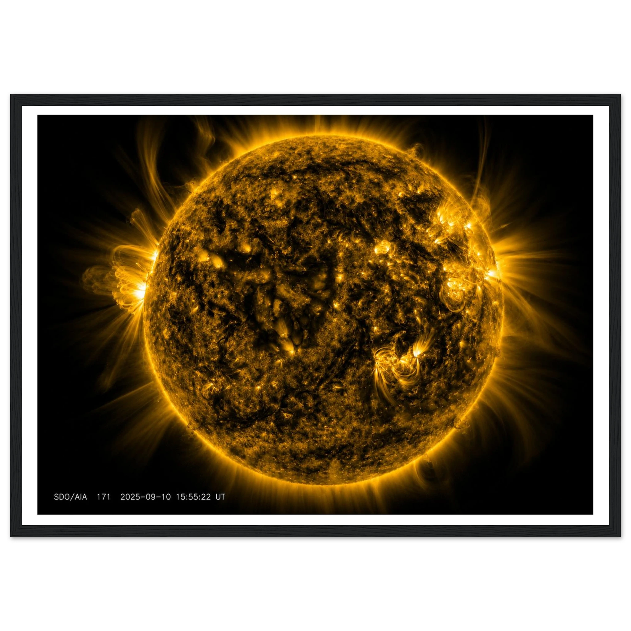 6088c33d-578a-44cf-aa19-8bcb09f31343