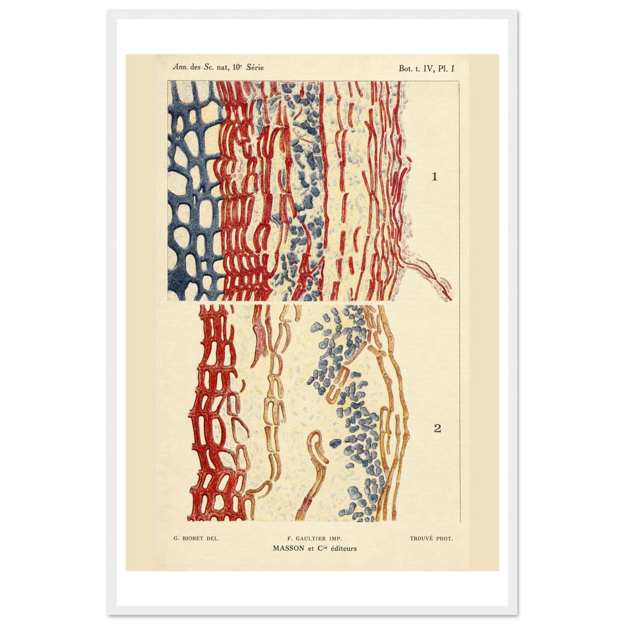 625ee3e1-d6d3-4cb3-9abc-e77eafaf0769