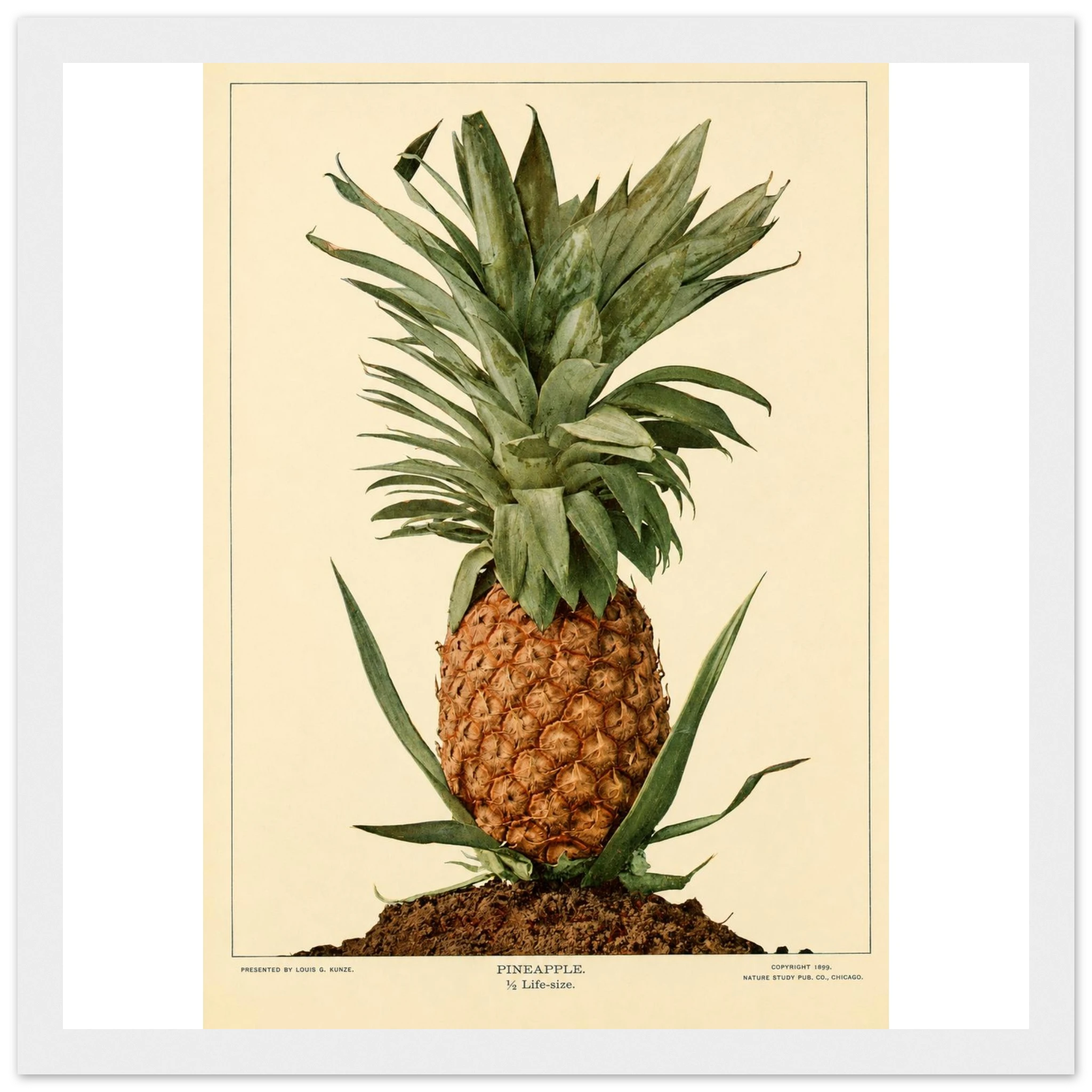 62863395-0852-4e0f-9d89-ad9587f46520
