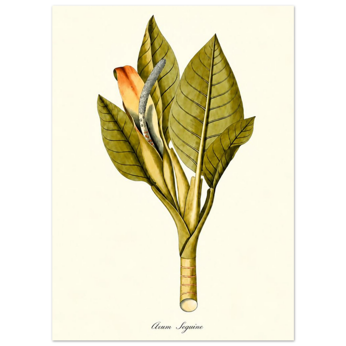 630a94e1-6318-4816-9b99-cca250a20b09