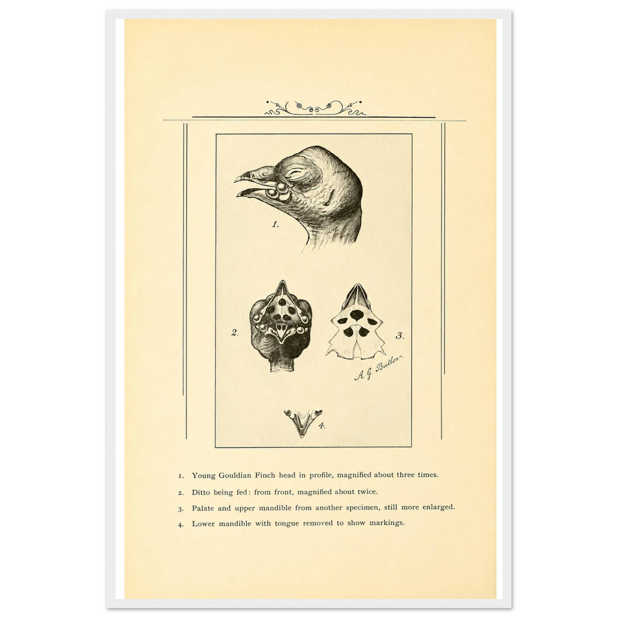 632fdc75-be00-4c18-8dcd-9defbb238051