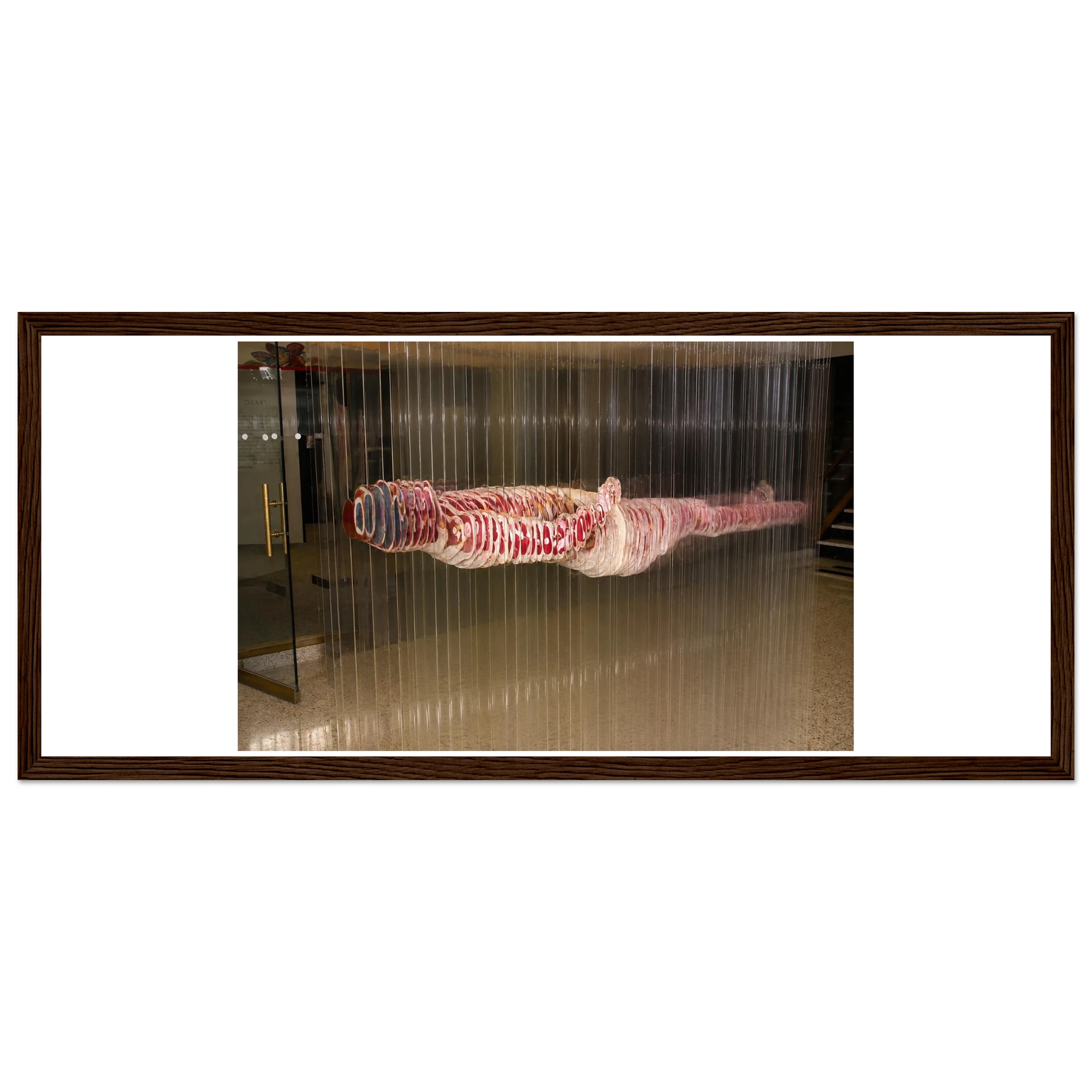 64398d87-4e87-4249-8af5-1816cdaa1dcb
