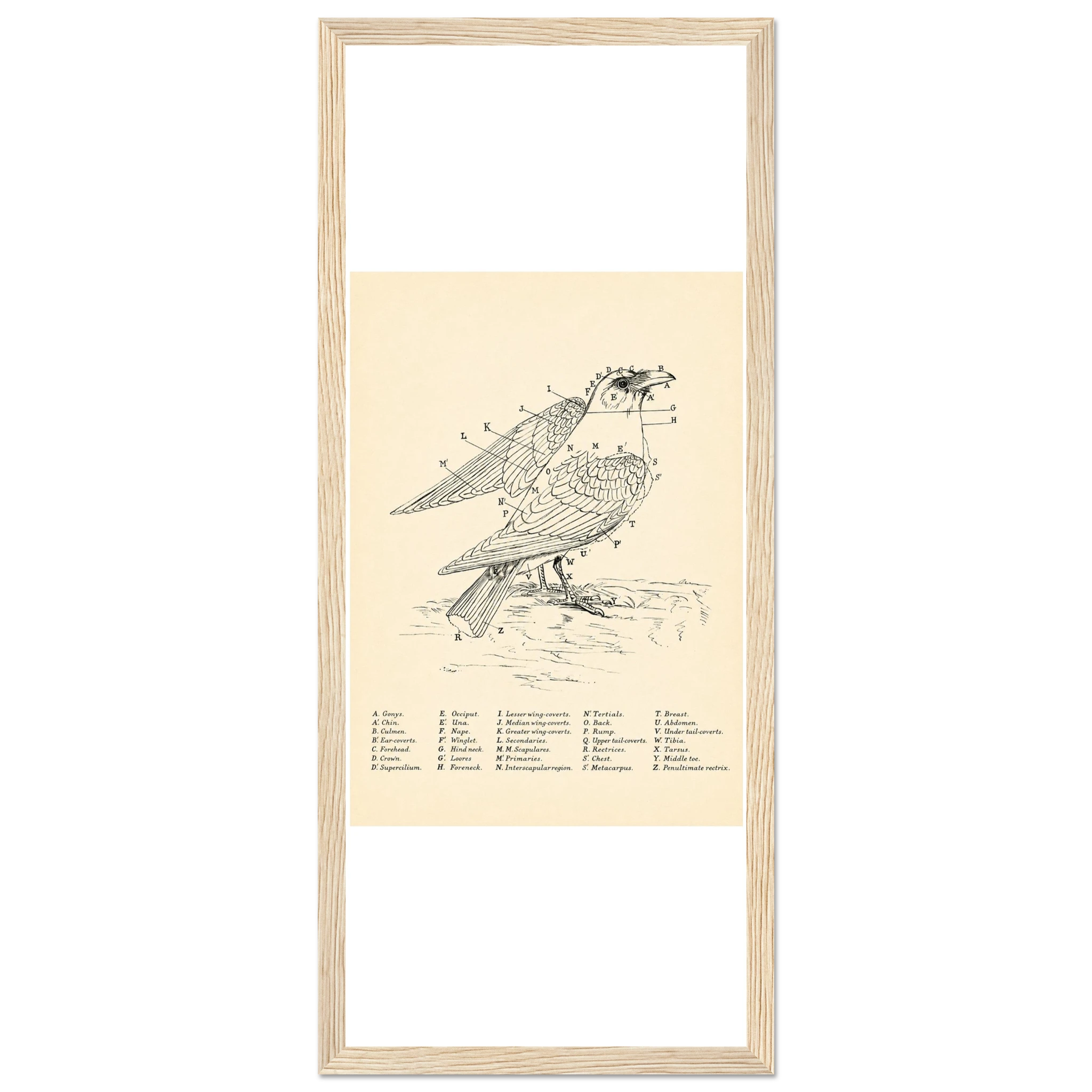 64675702-c429-4cb5-87cc-a8b241eeaf33
