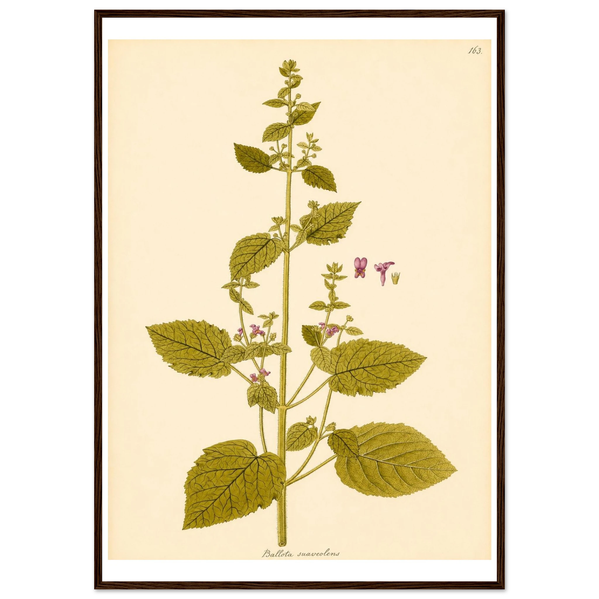 651c4003-6926-4c93-b725-f6fad98259ab