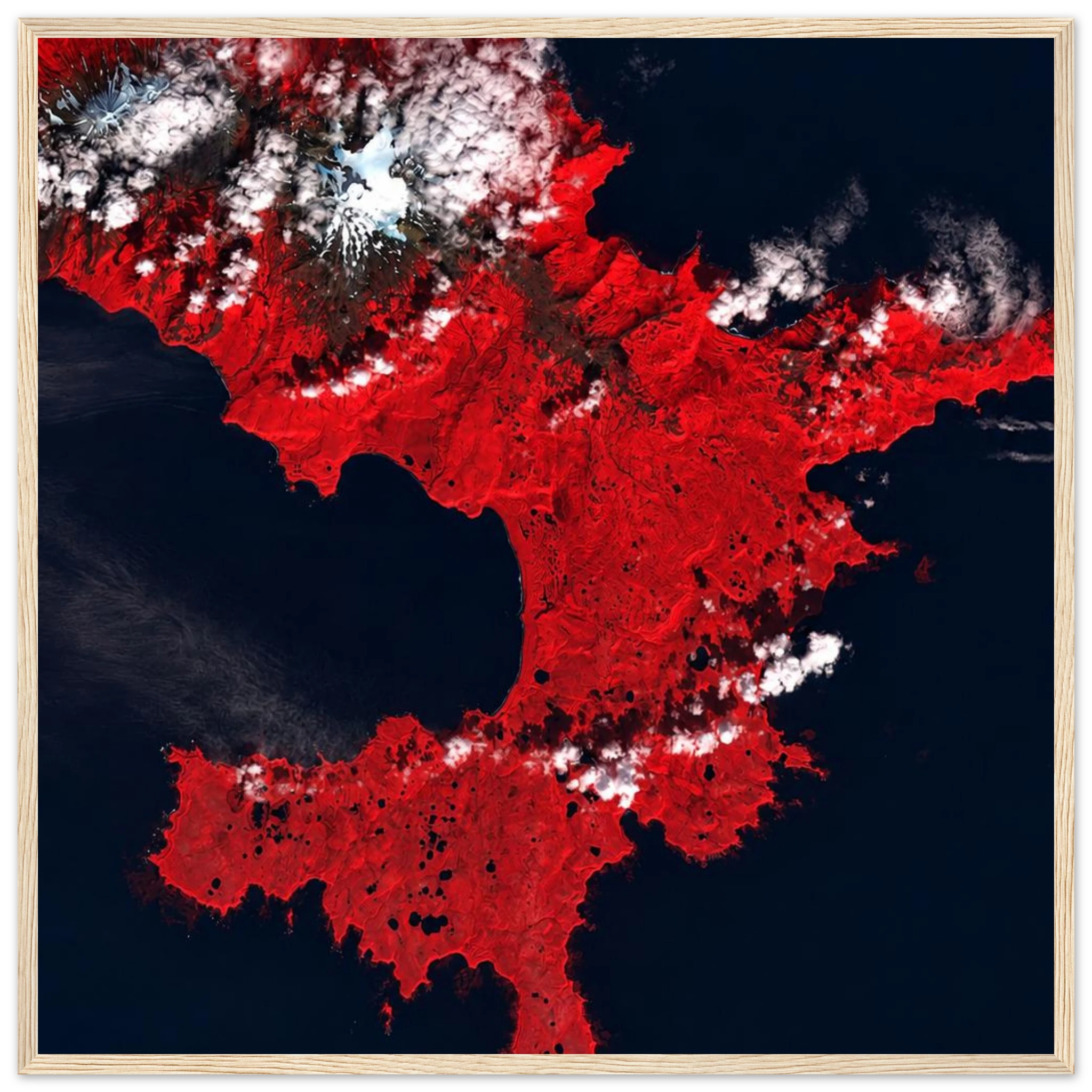 653dfb9b-23d1-451b-a734-51600e69e6a5